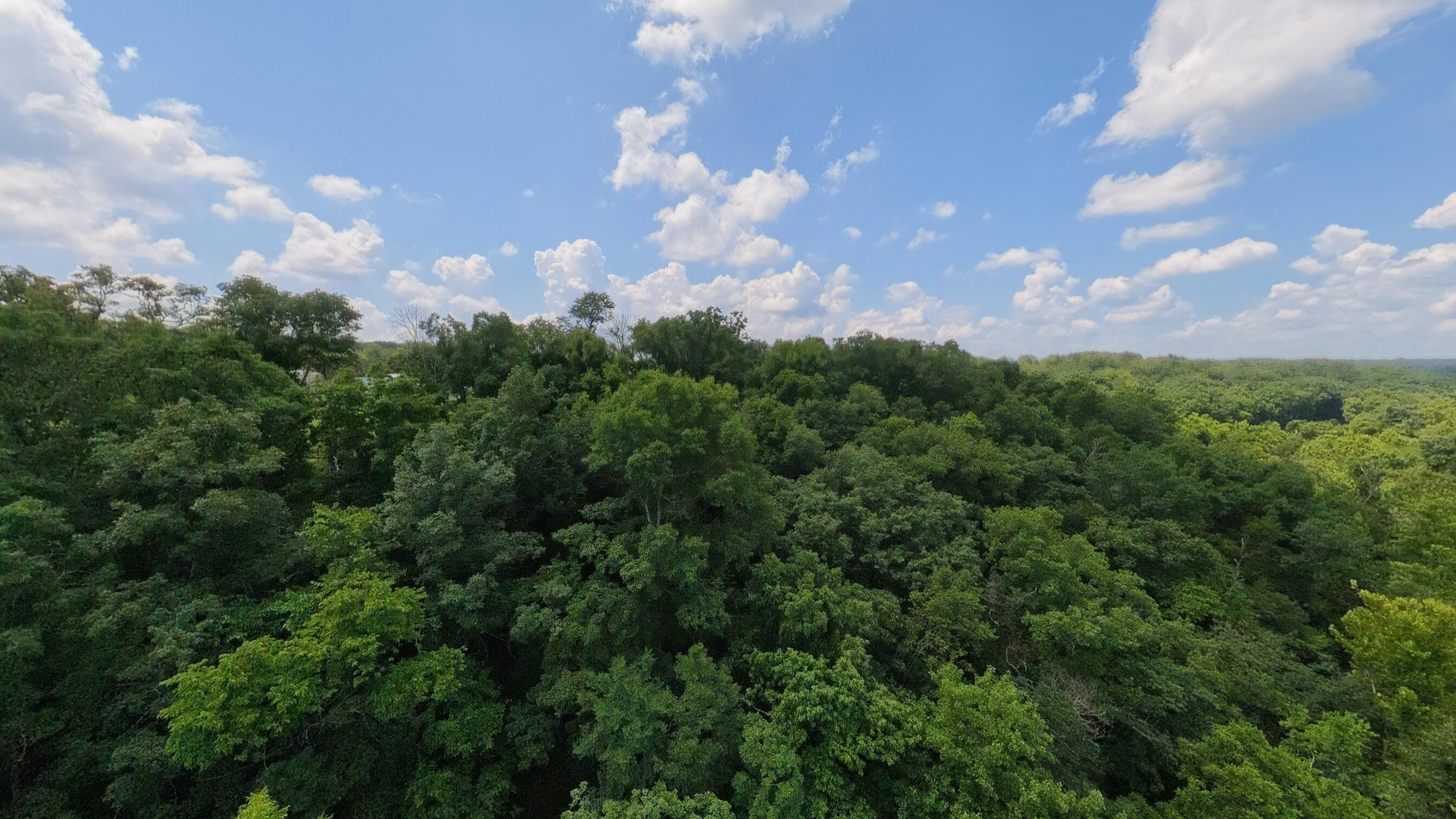 main property photo 102