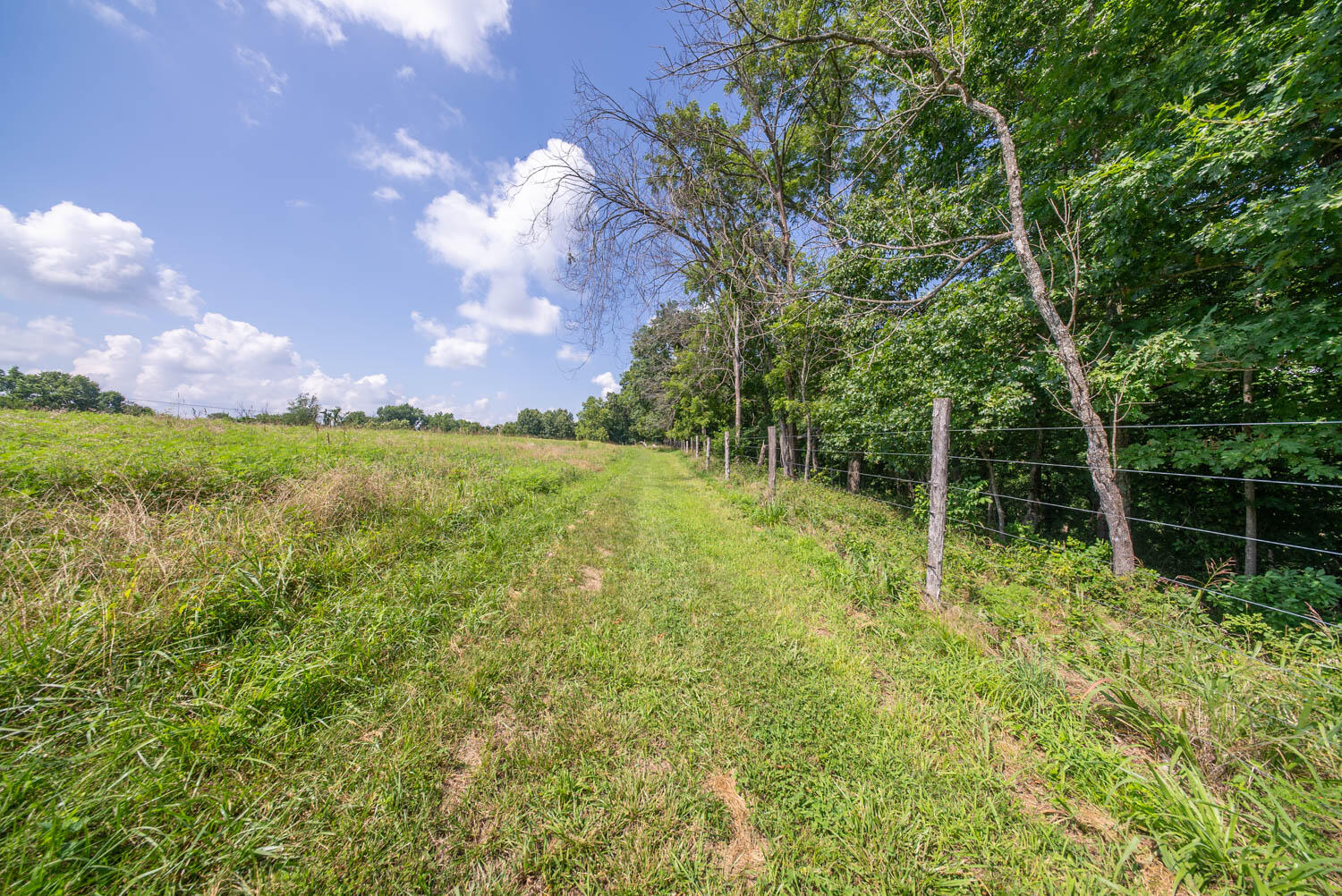 main property photo 68