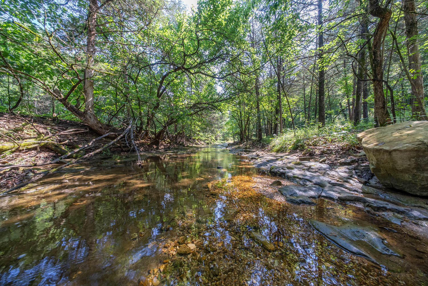 main property photo 85