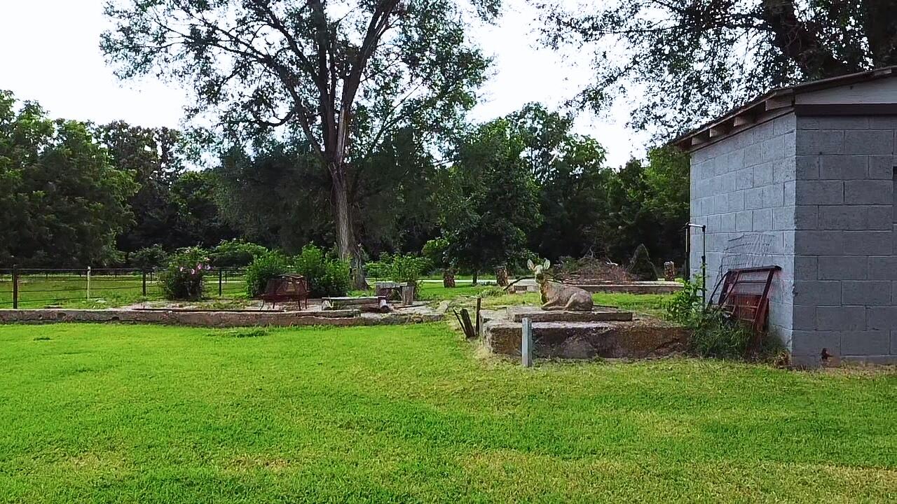 main property photo 12
