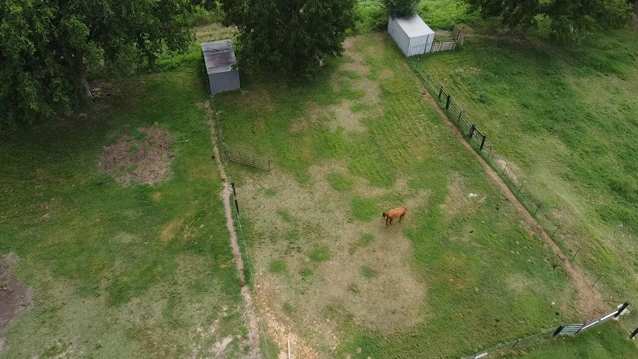 main property photo 13