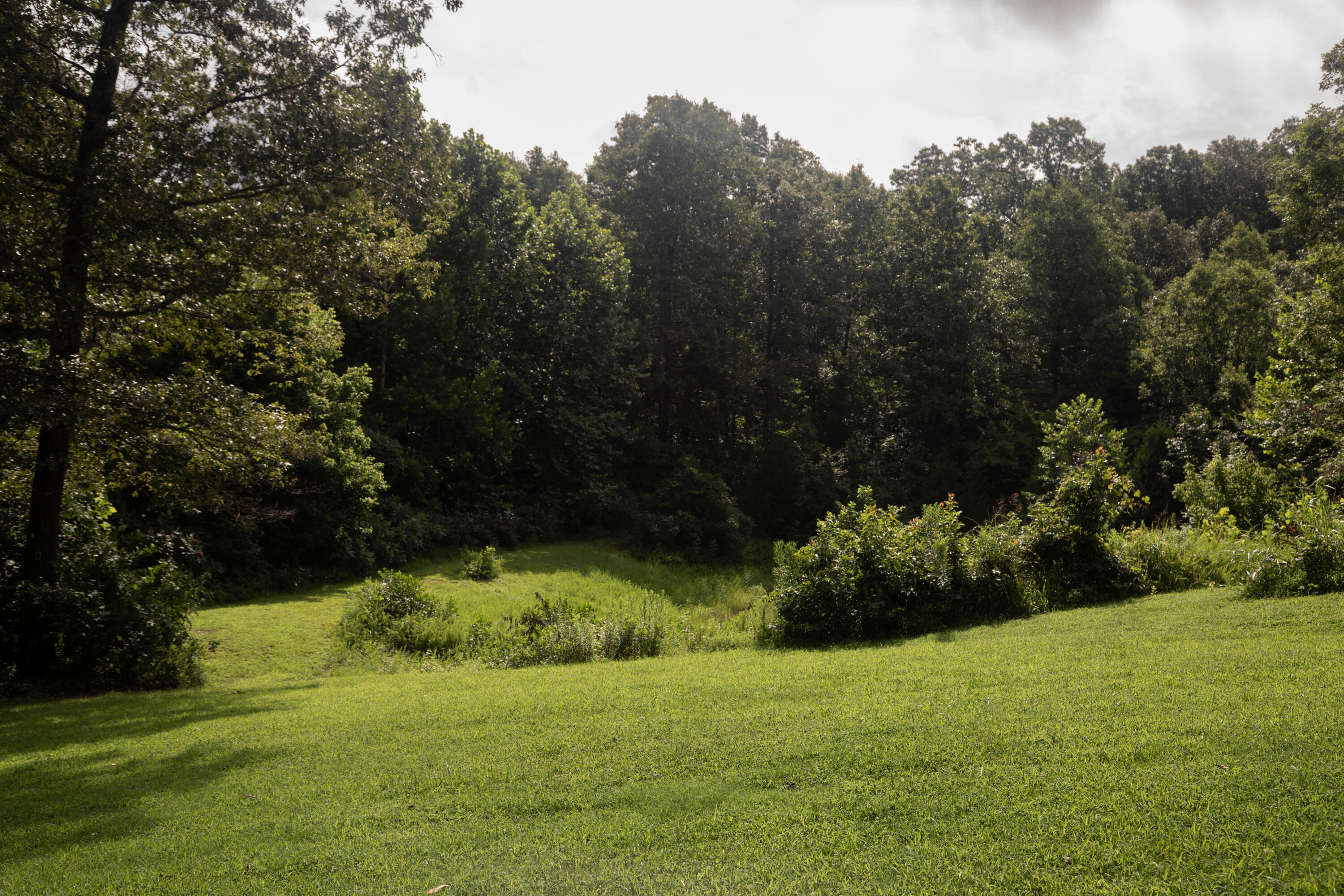 main property photo 55