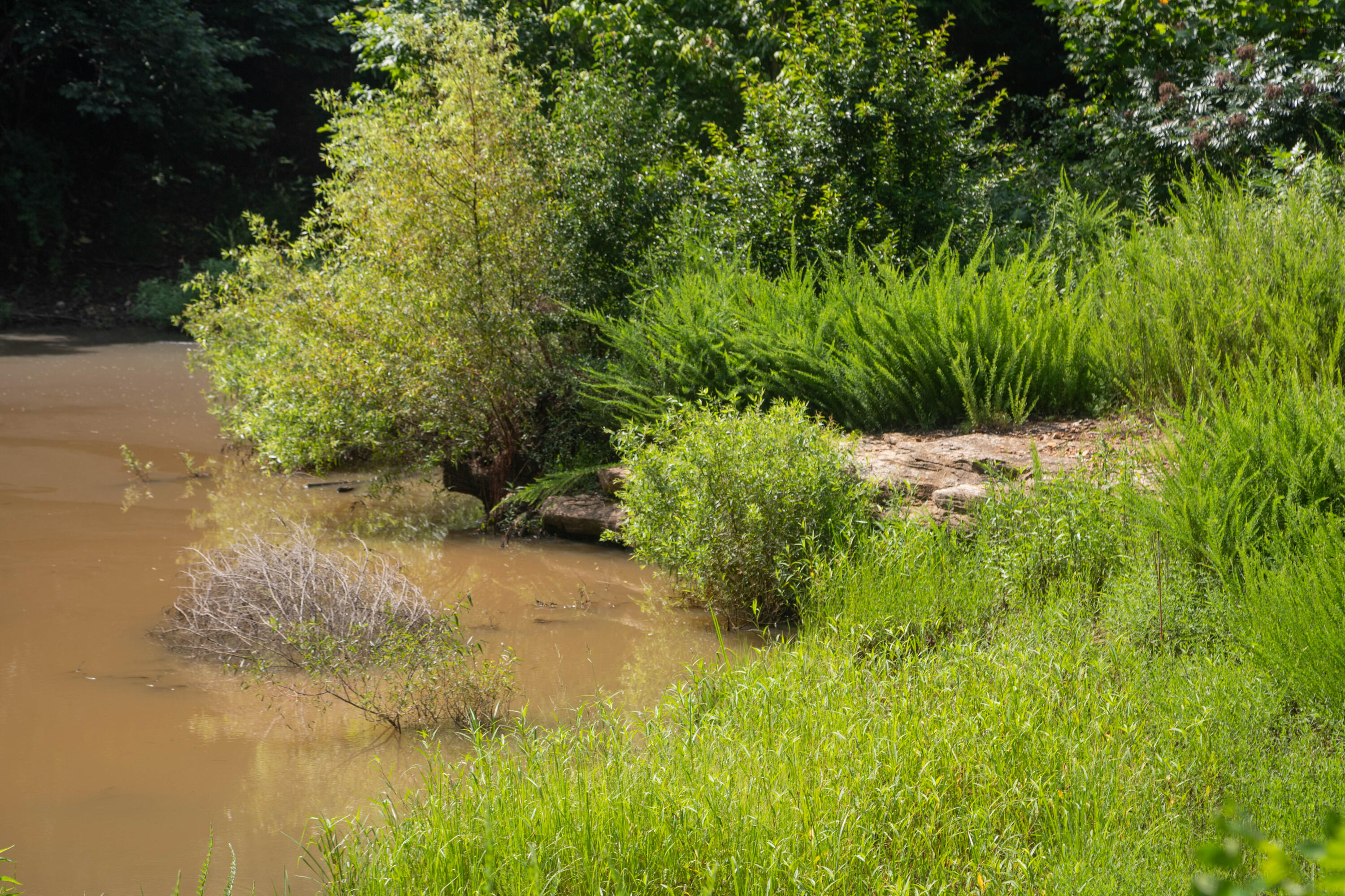 main property photo 61