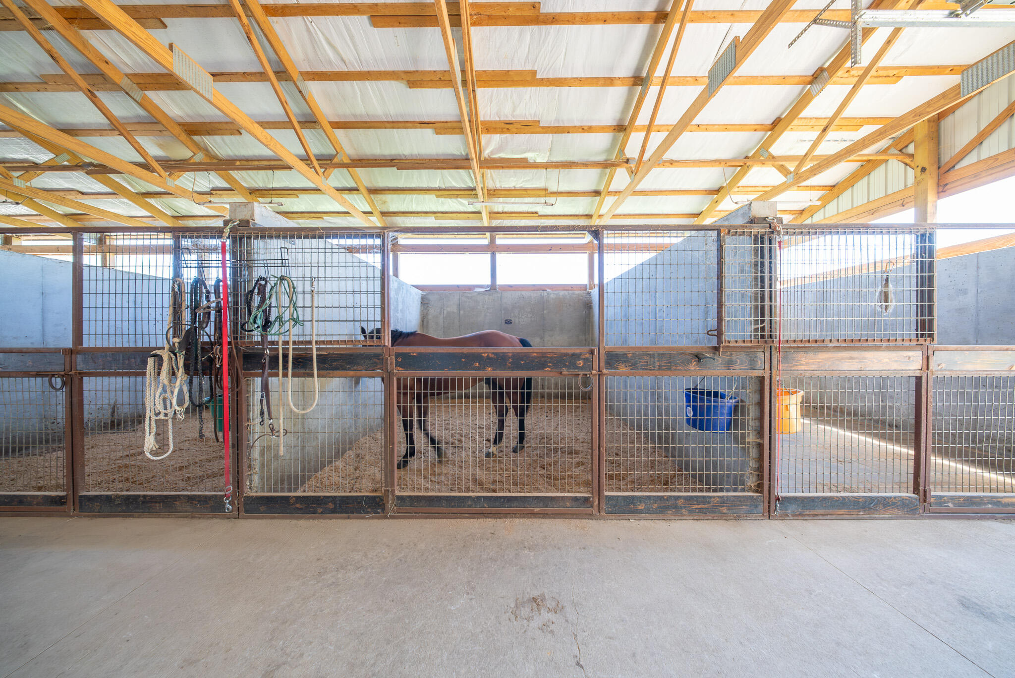 main property photo 40