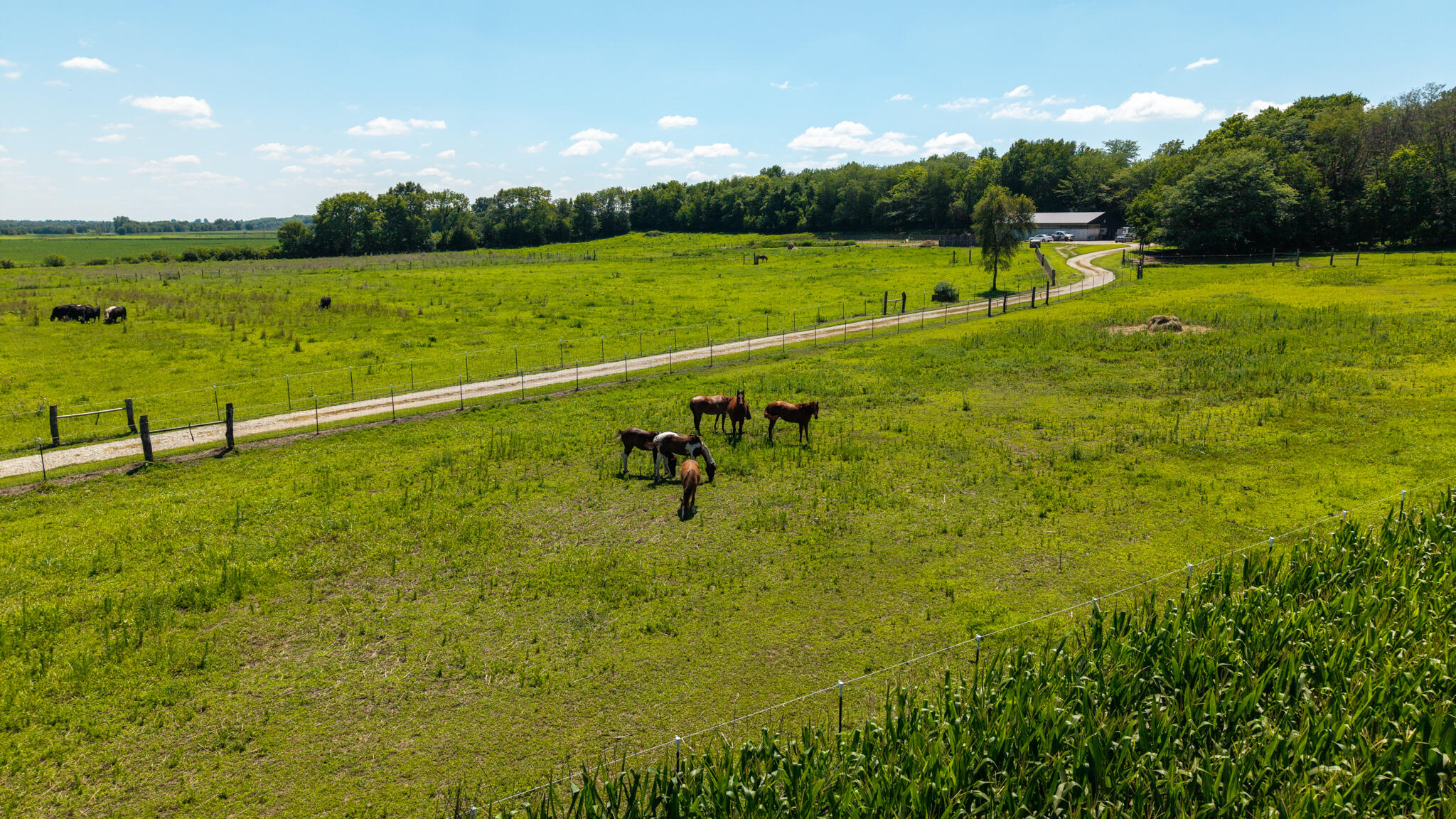 main property photo 65