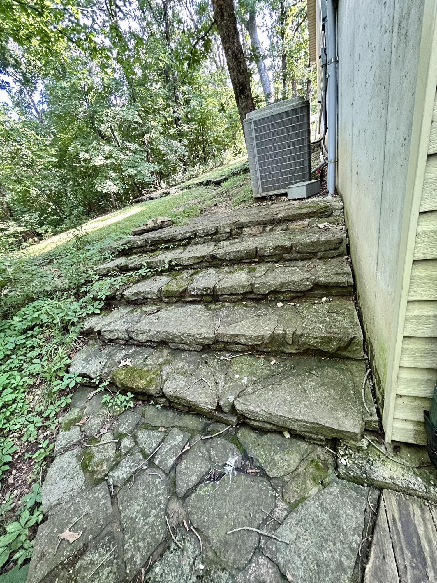 main property photo 50