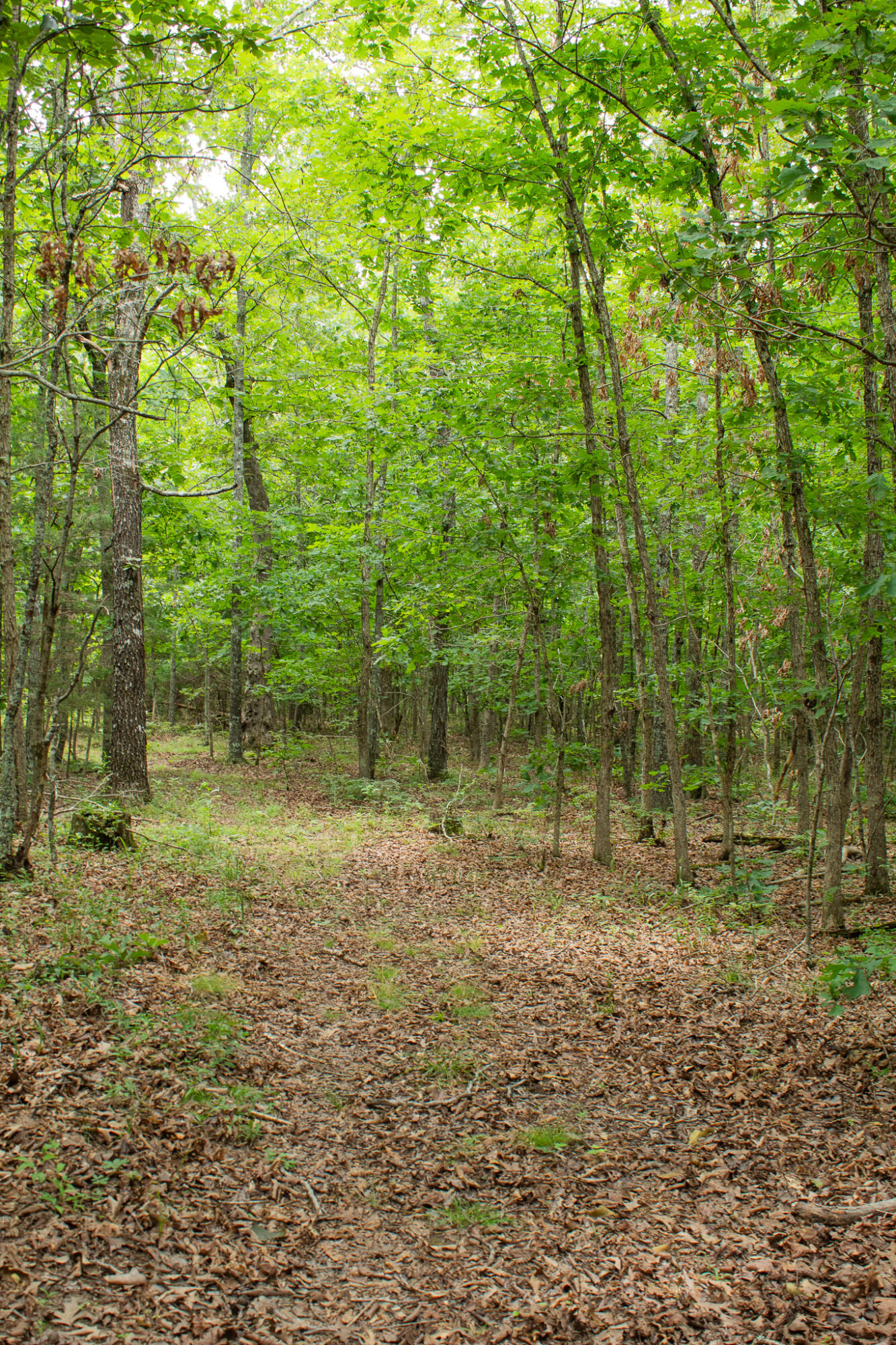 main property photo 47