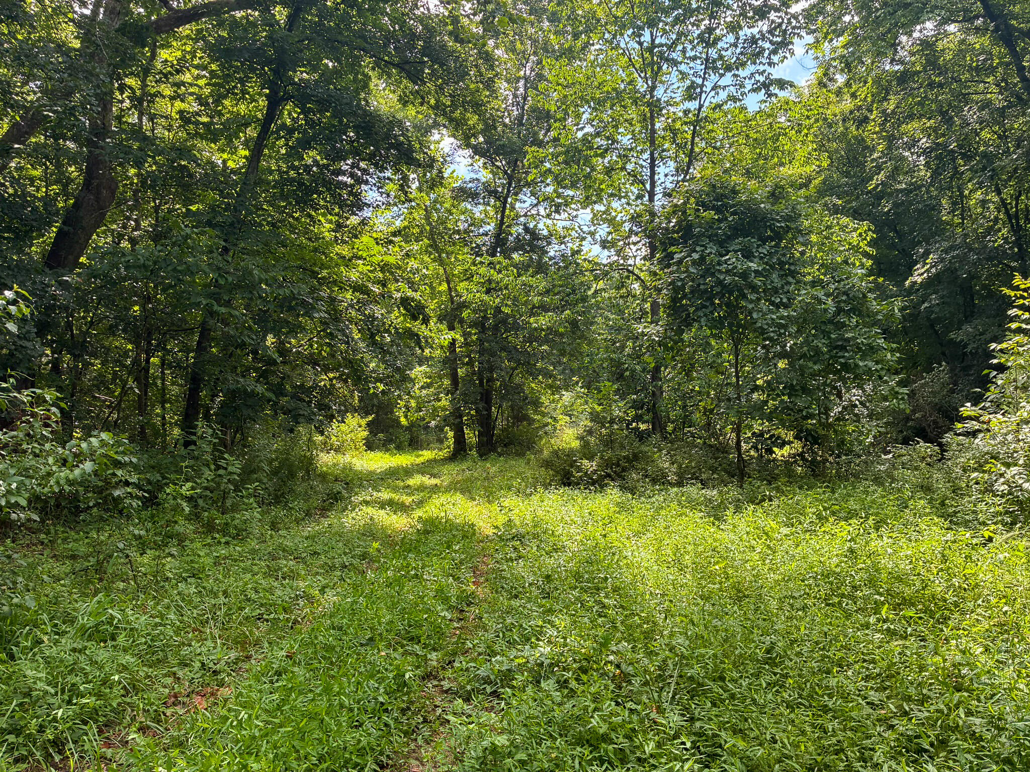 main property photo 35