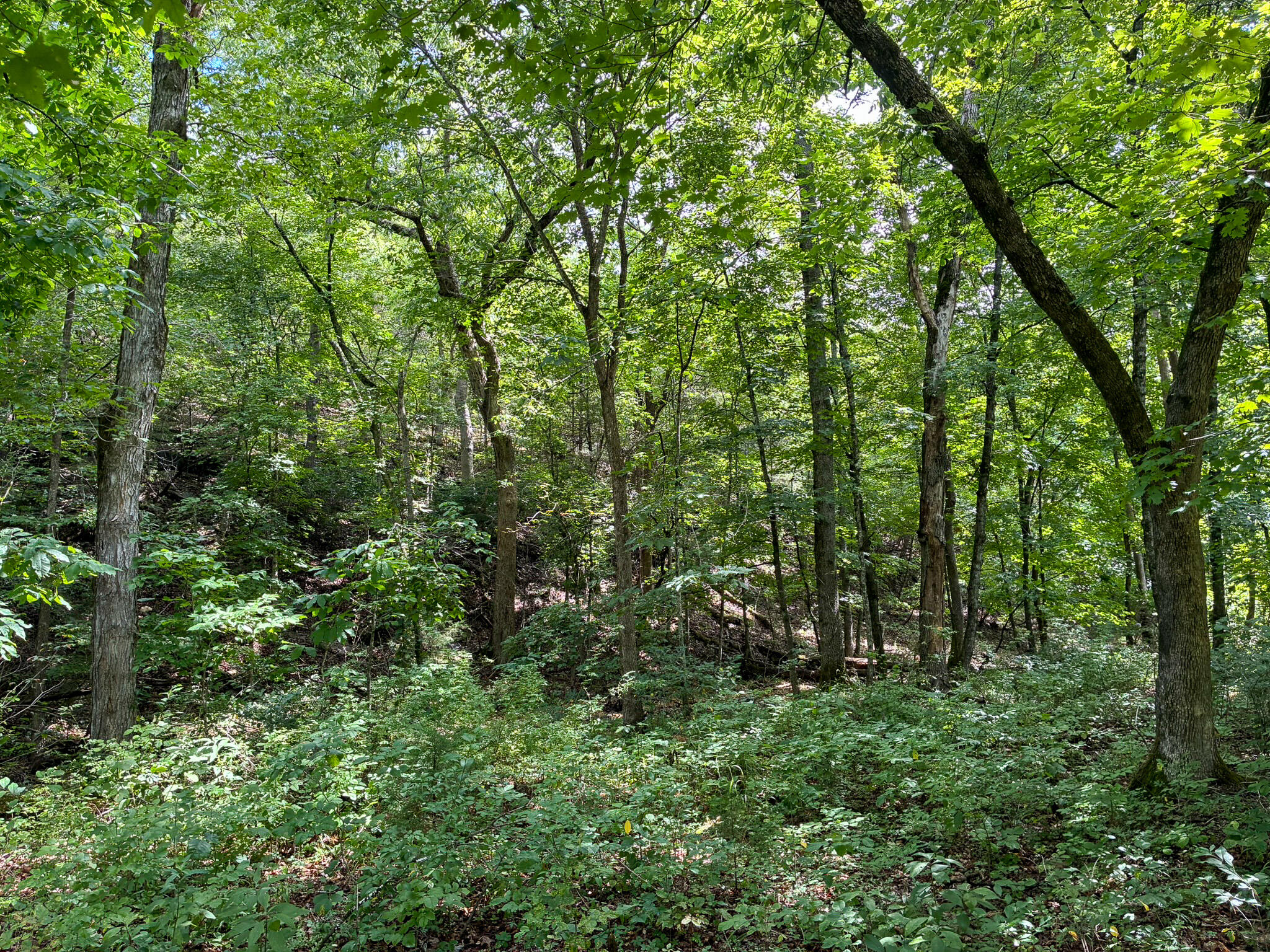 main property photo 41