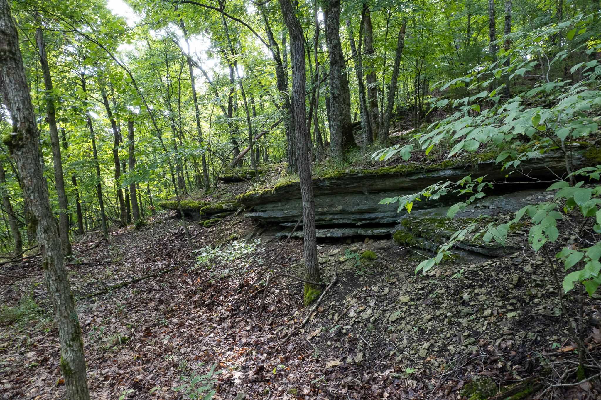 main property photo 46