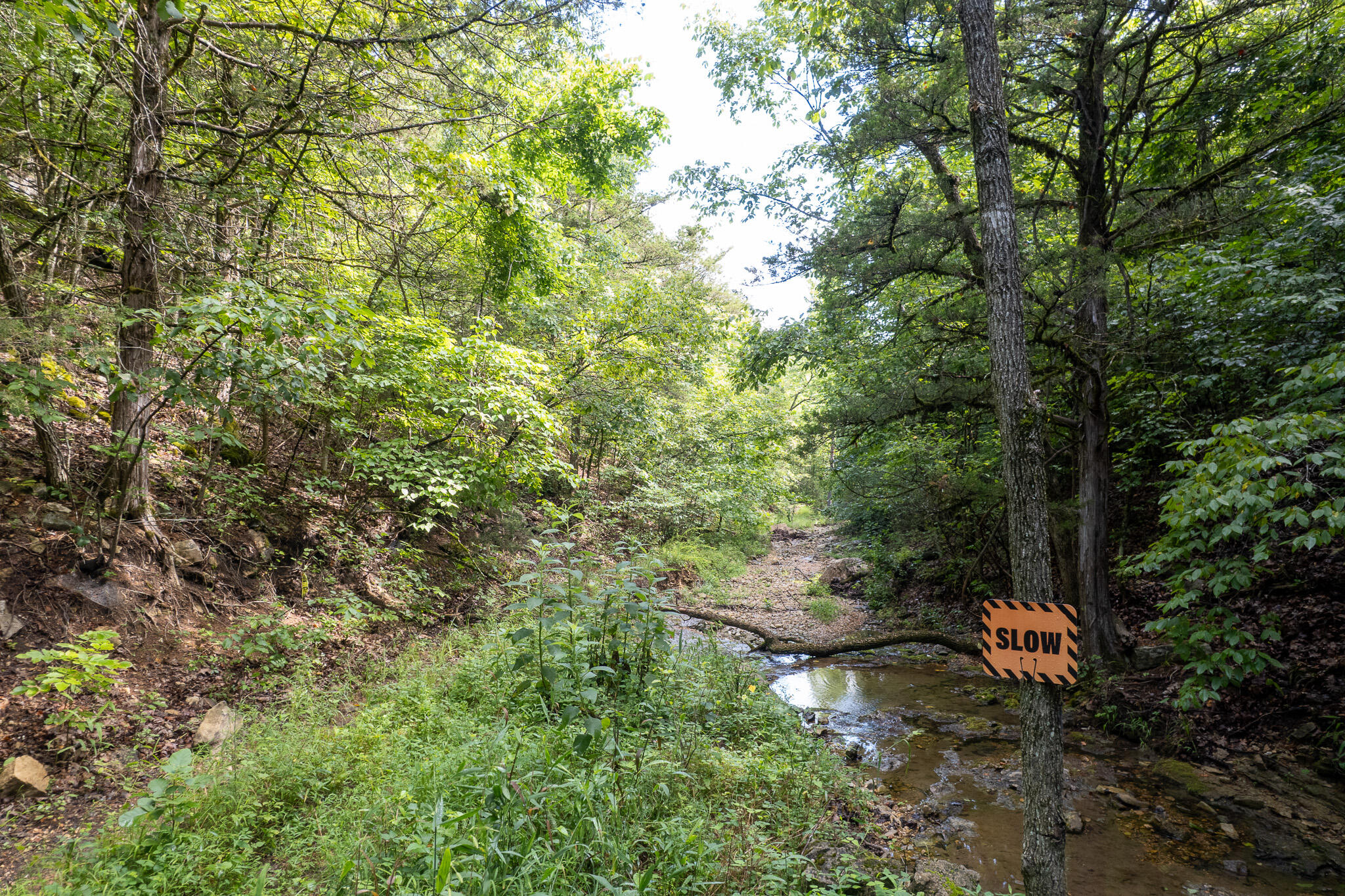 main property photo 51