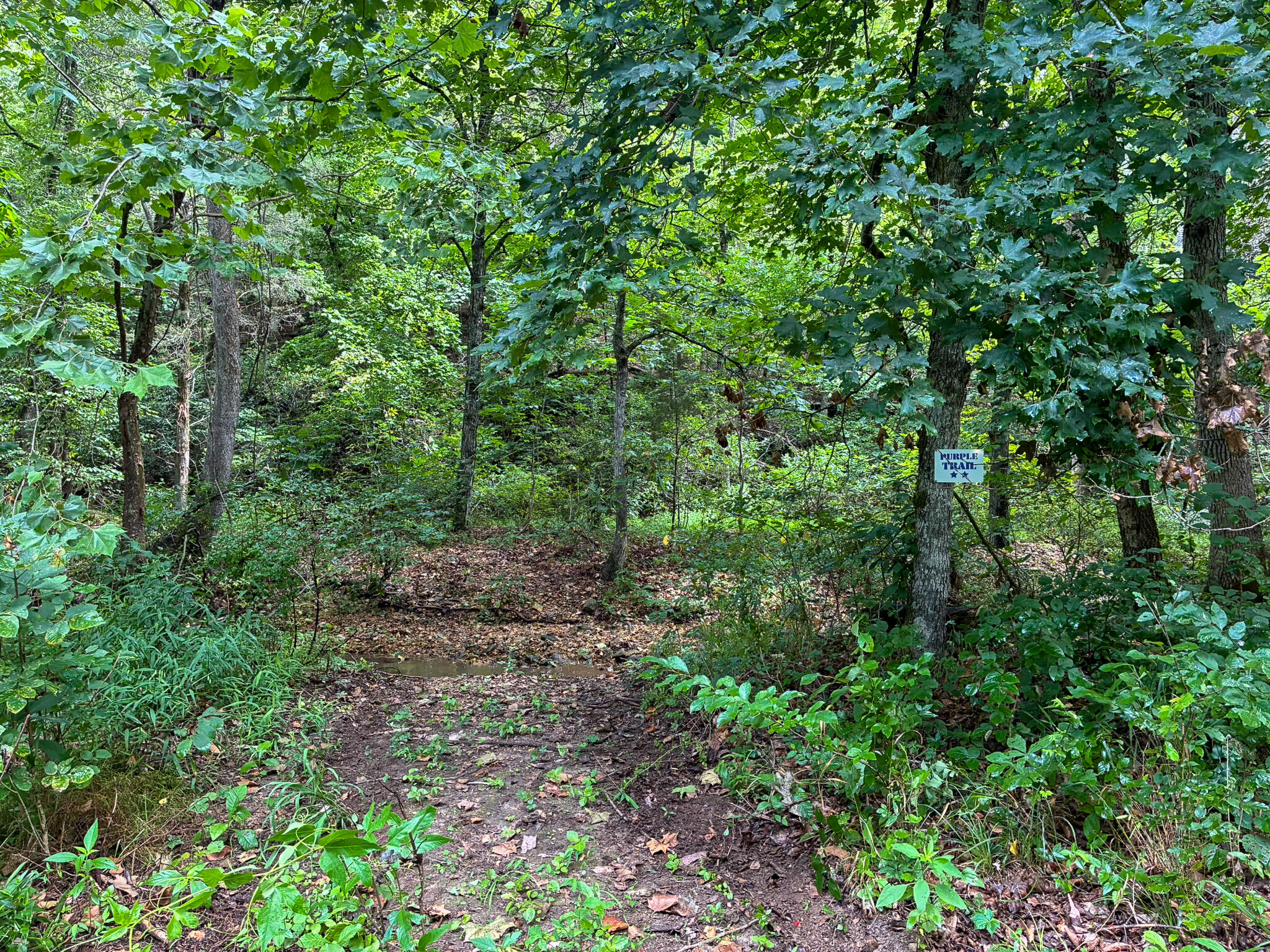 main property photo 55