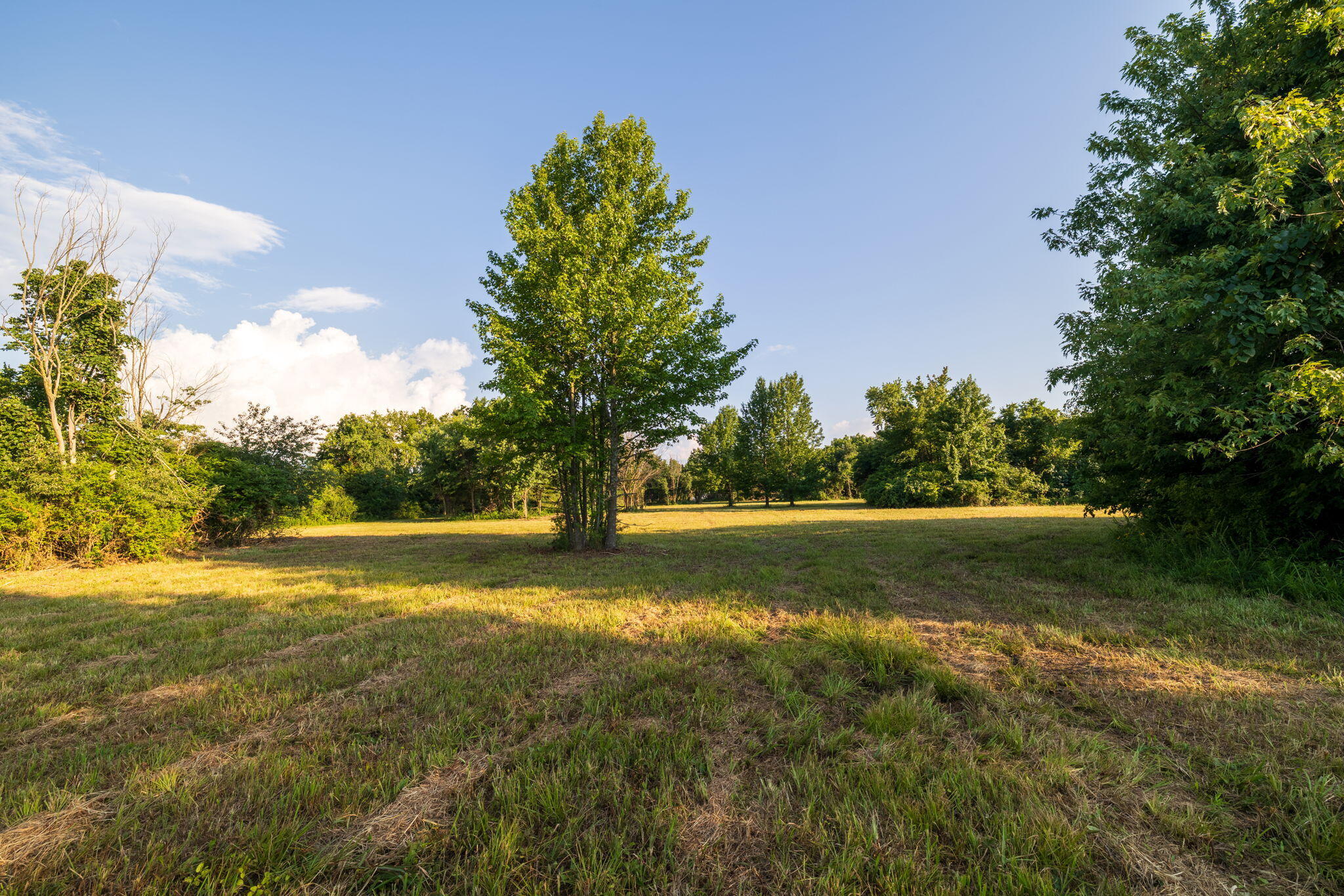 main property photo 28