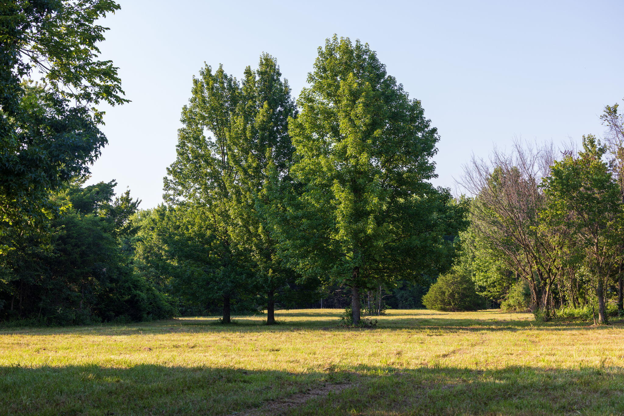 main property photo 44