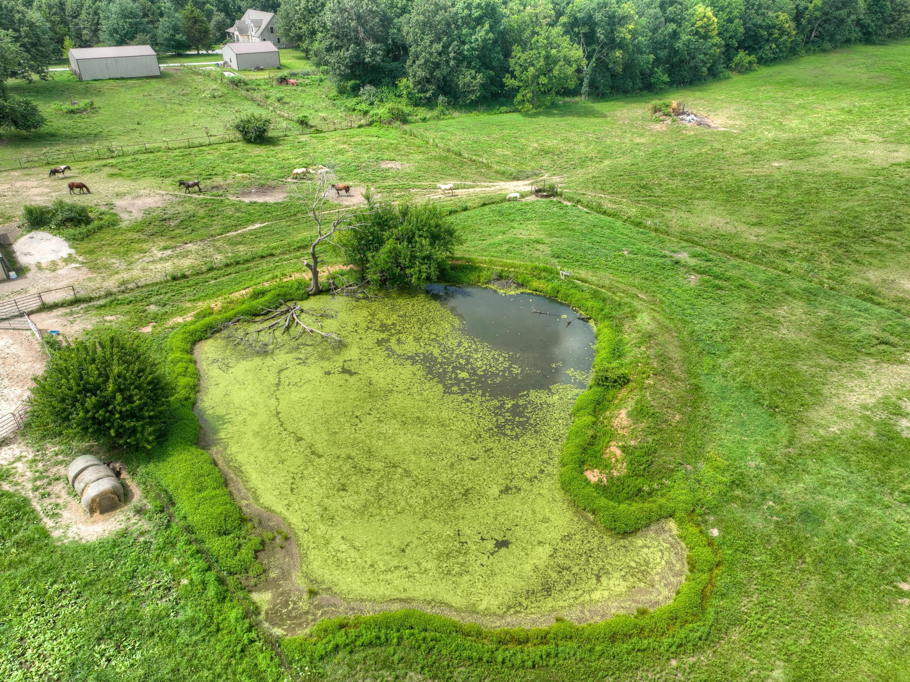 main property photo 52
