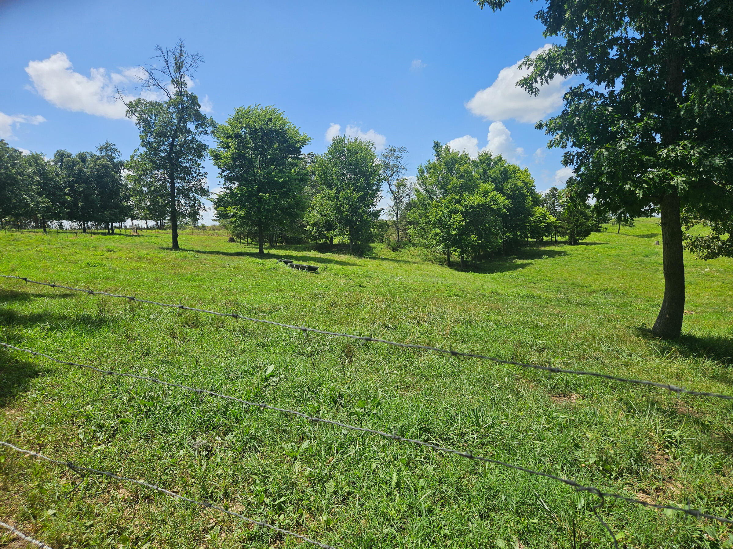 main property photo 43