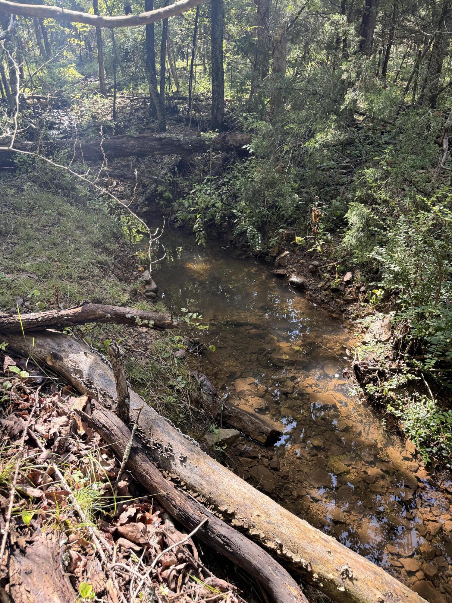 main property photo 19