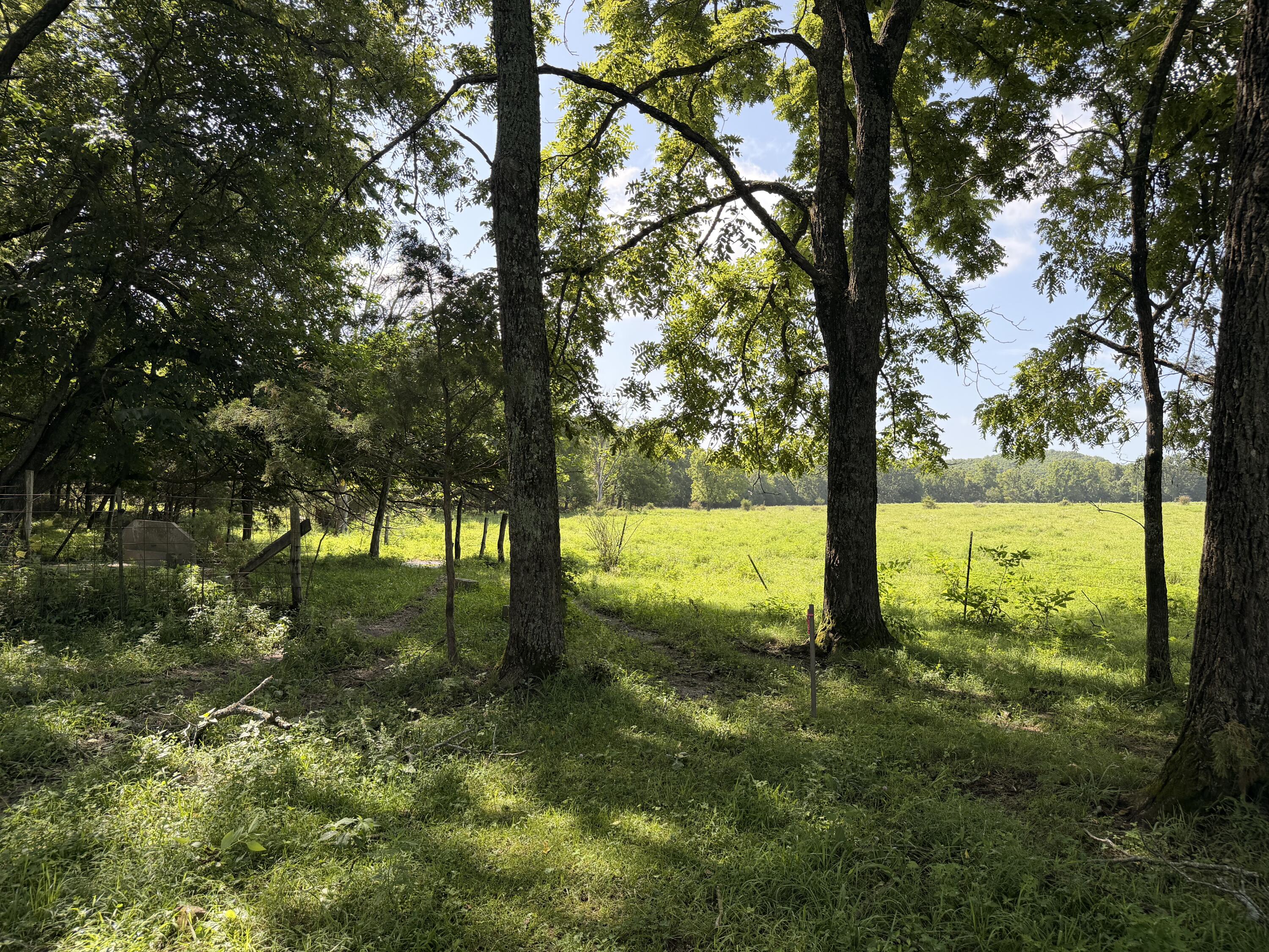 main property photo 8