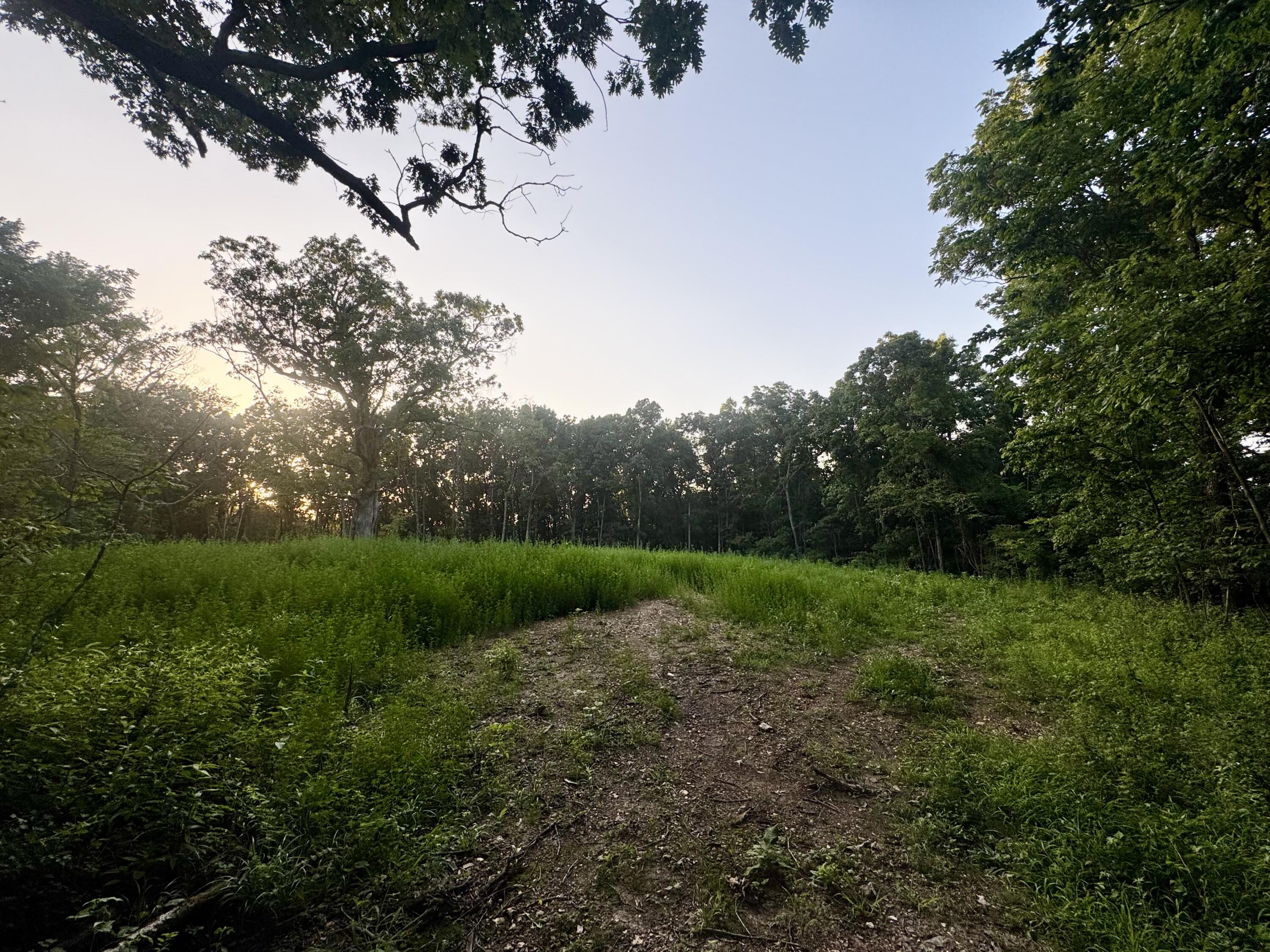 main property photo 4