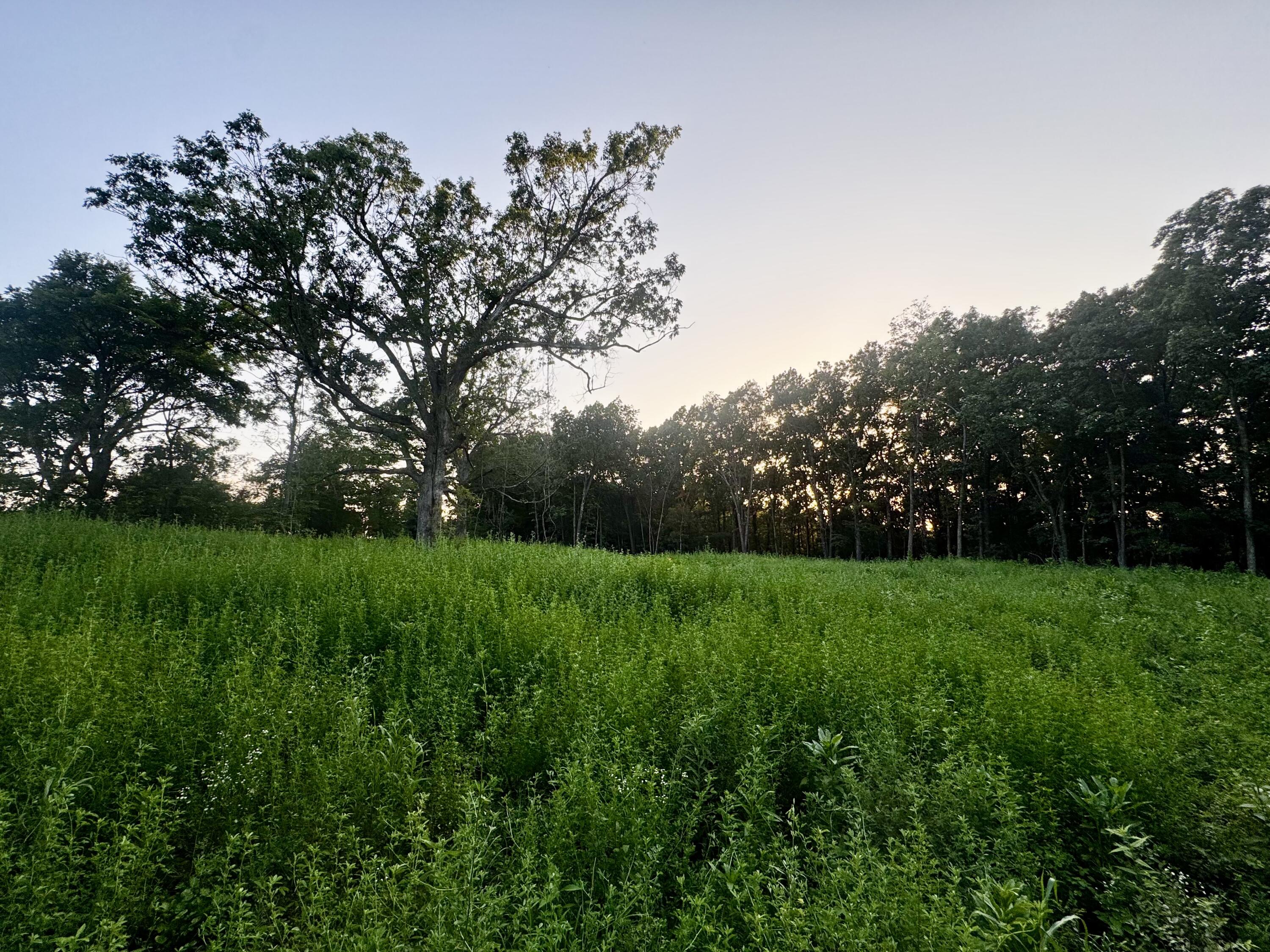 main property photo 6