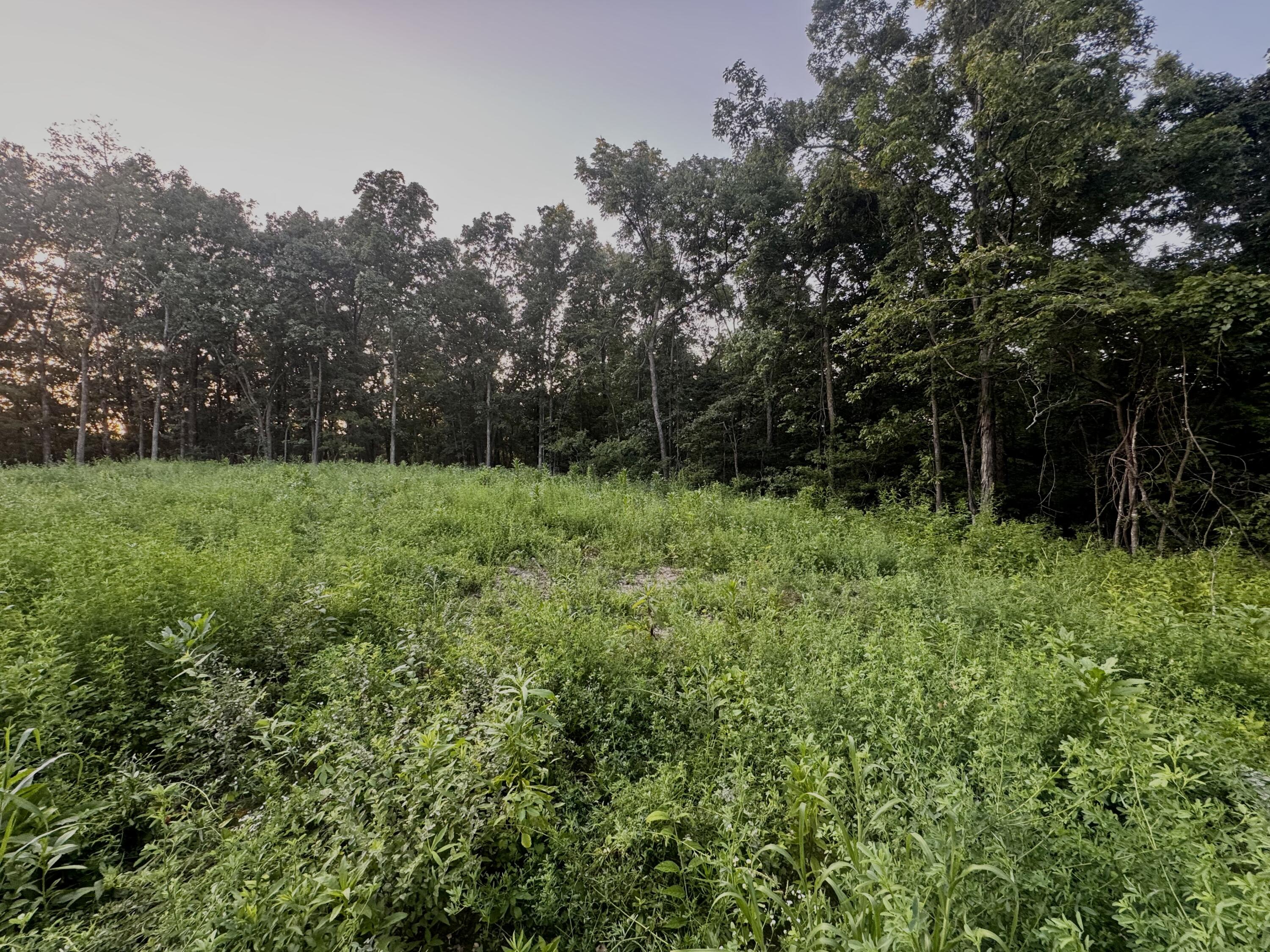 main property photo 8