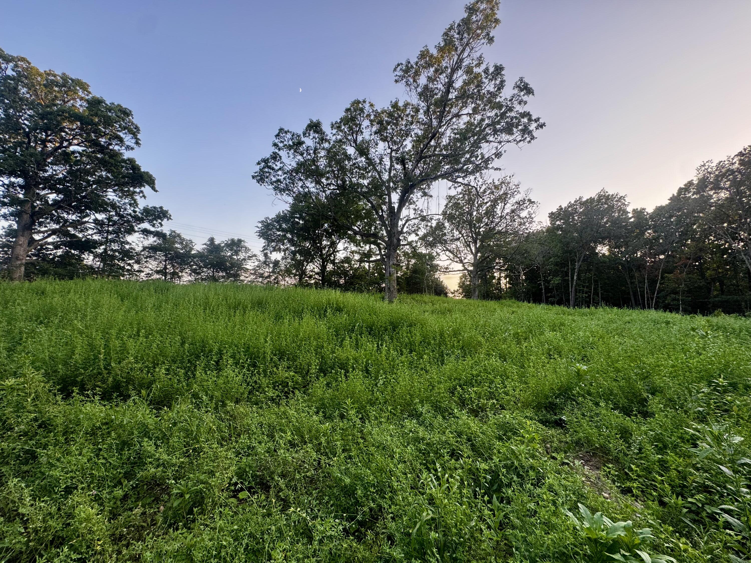 main property photo 9