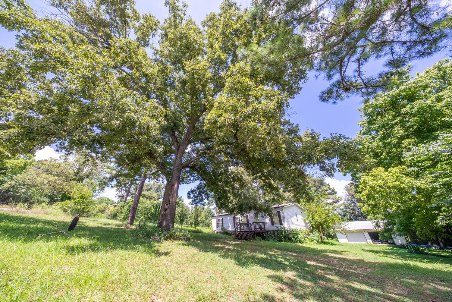 main property photo 39