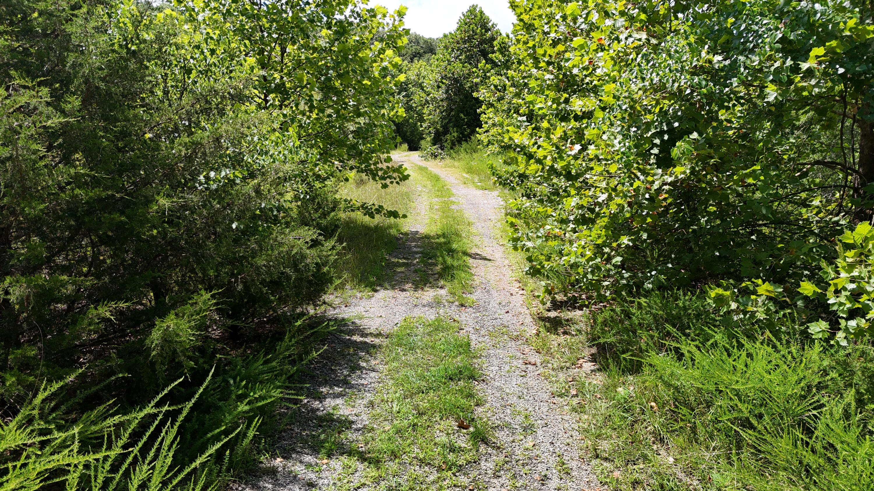 main property photo 11