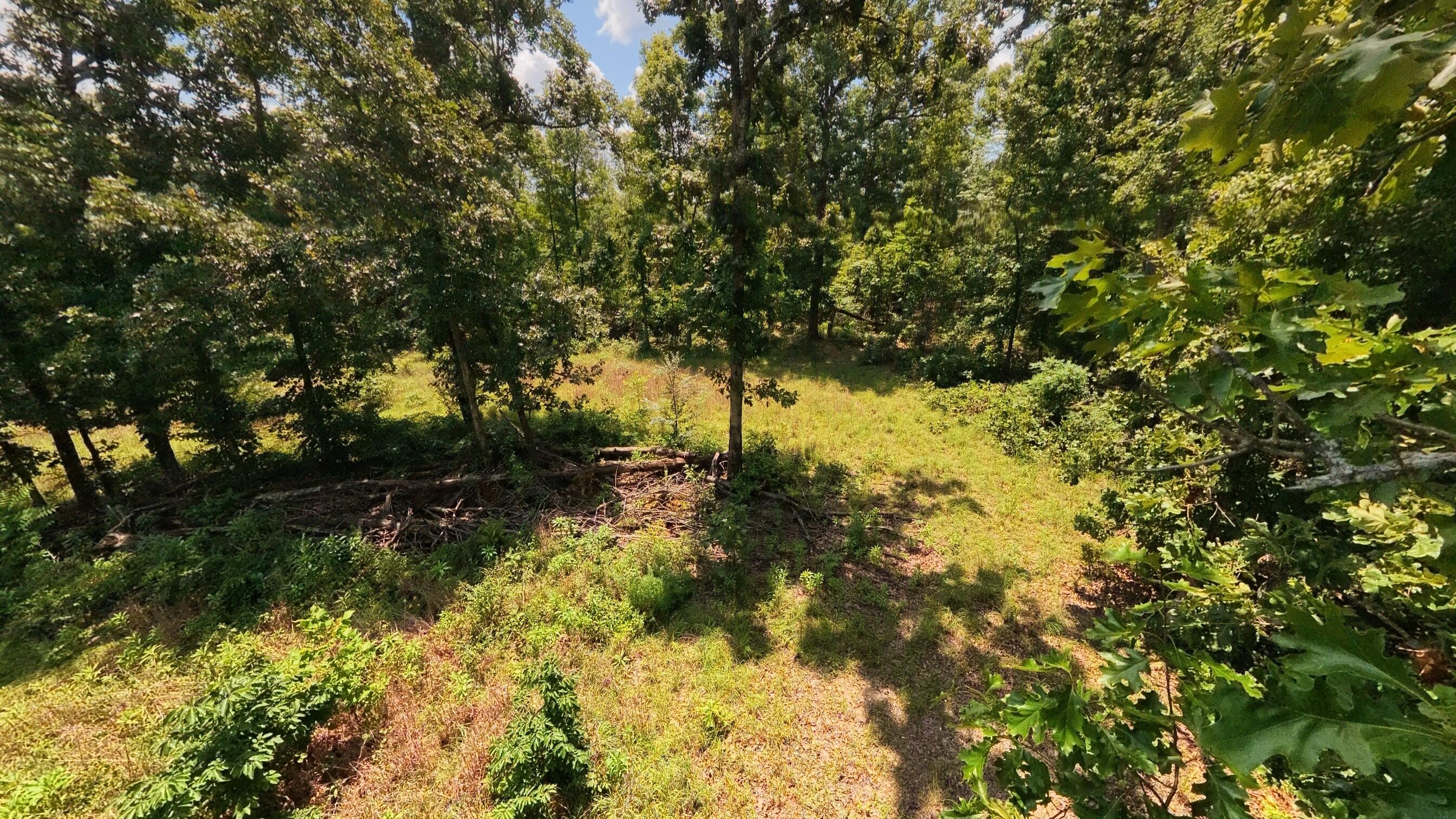 main property photo 63