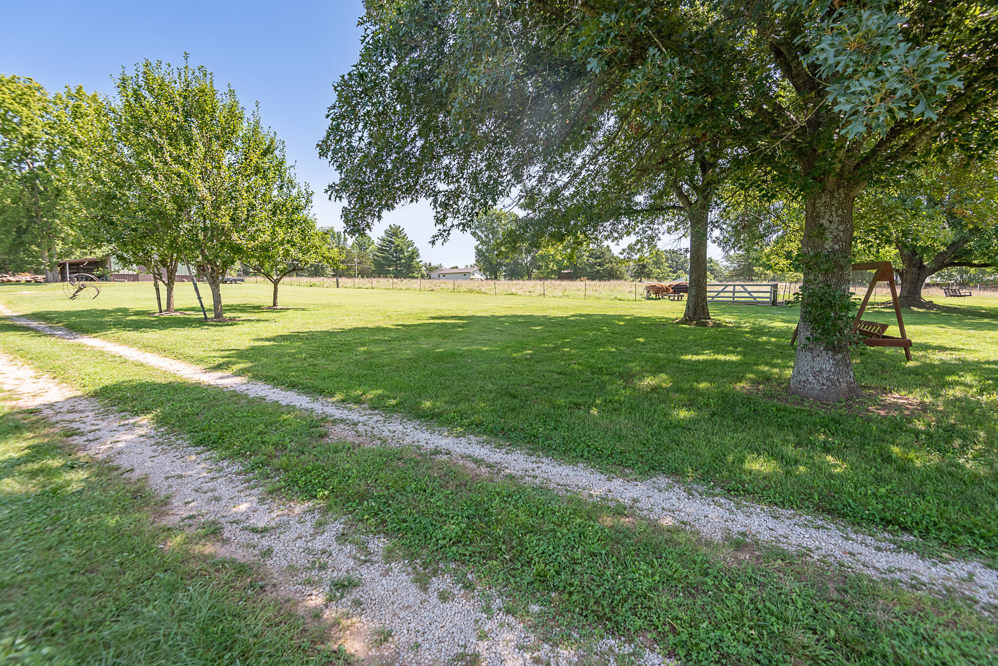 main property photo 56