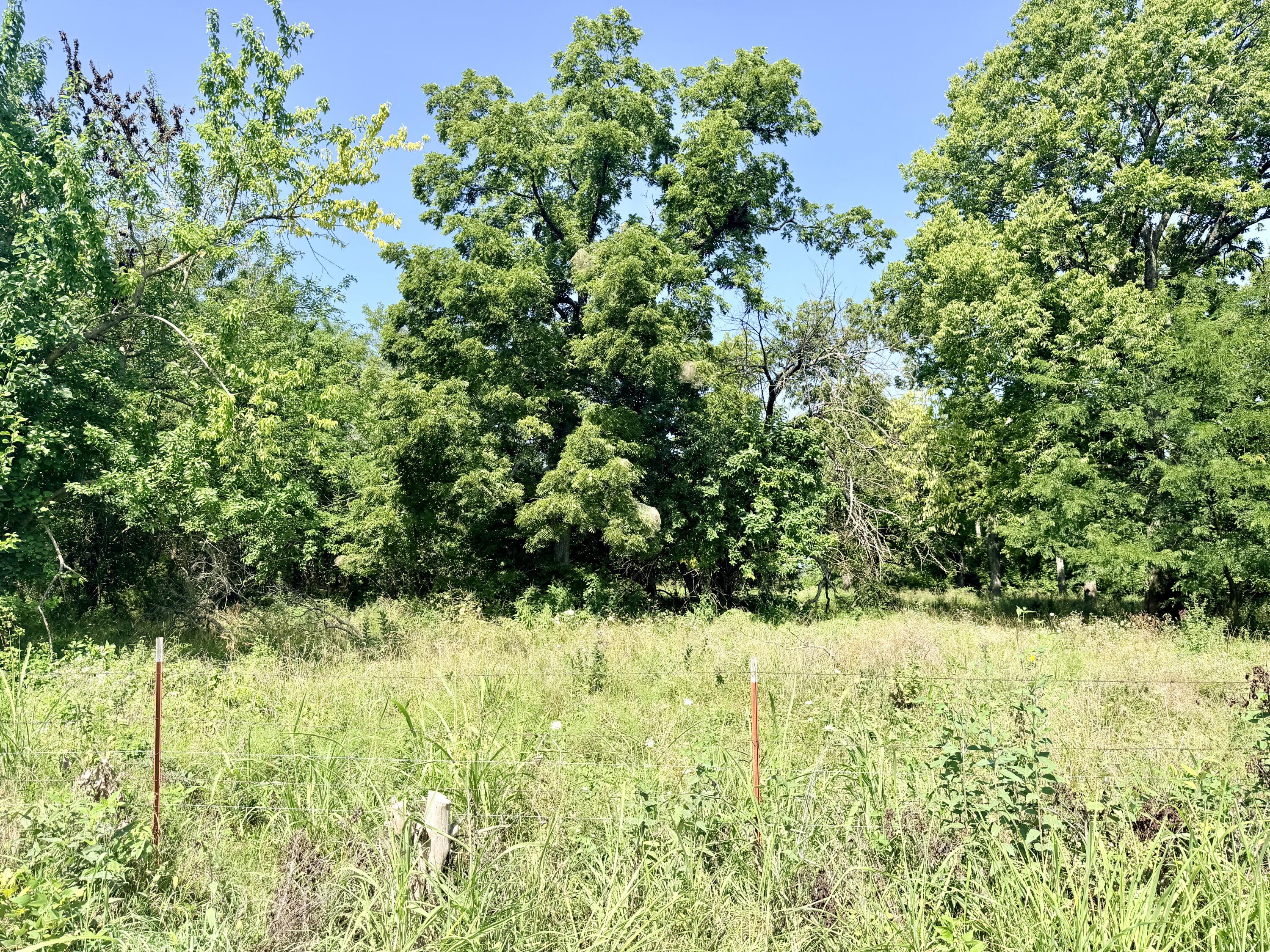 main property photo 16