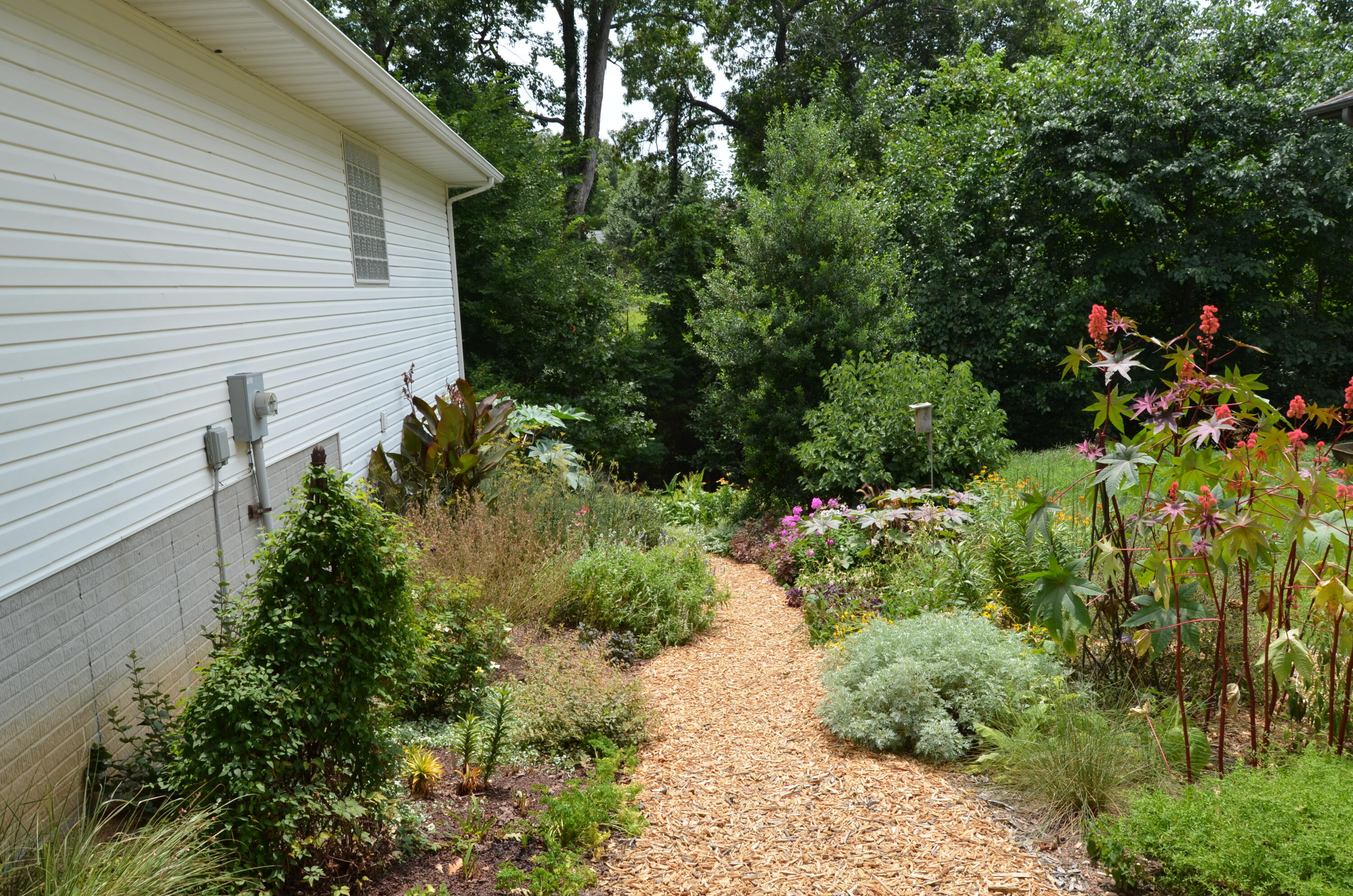 main property photo 31