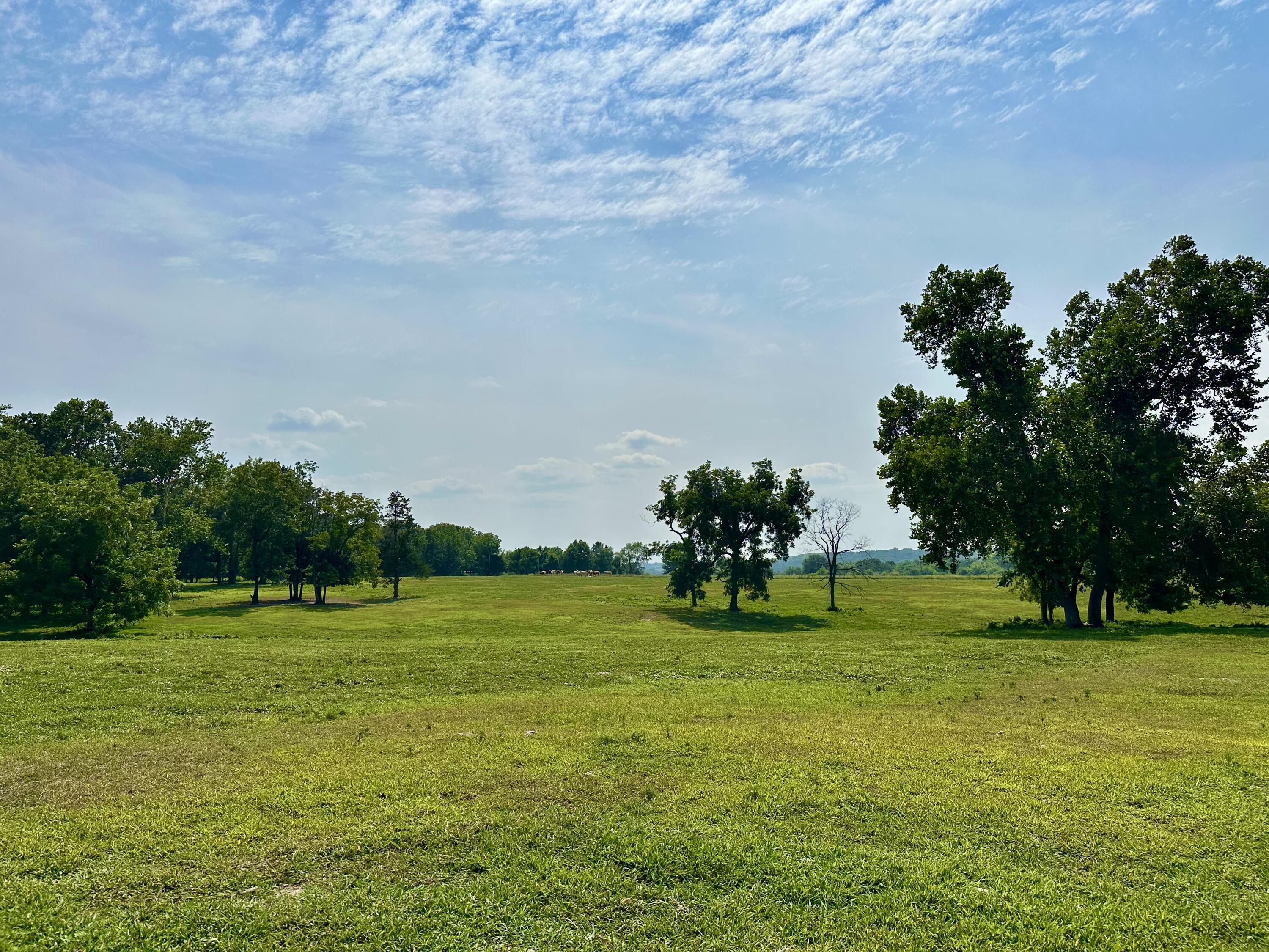 main property photo 48