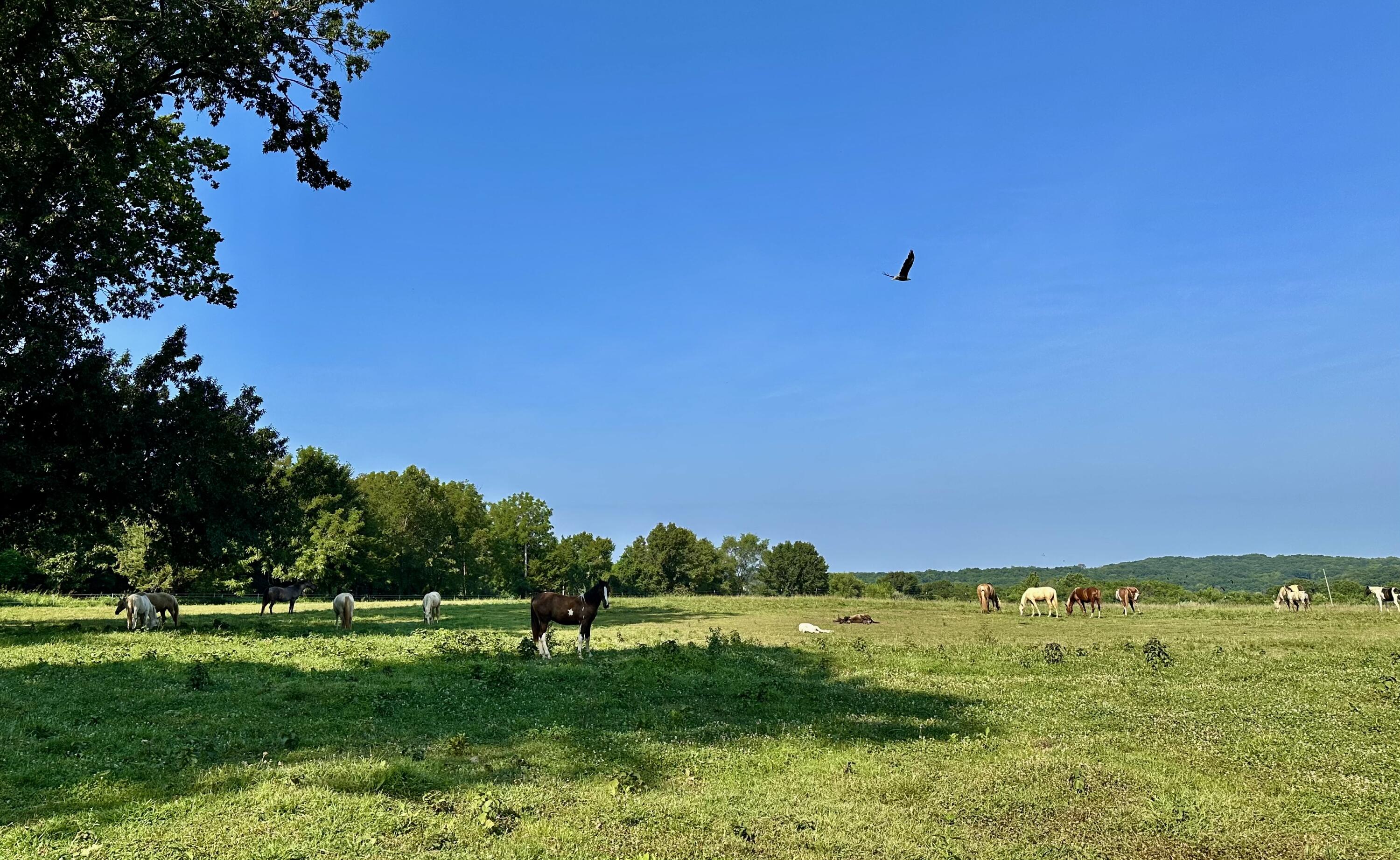 main property photo 50