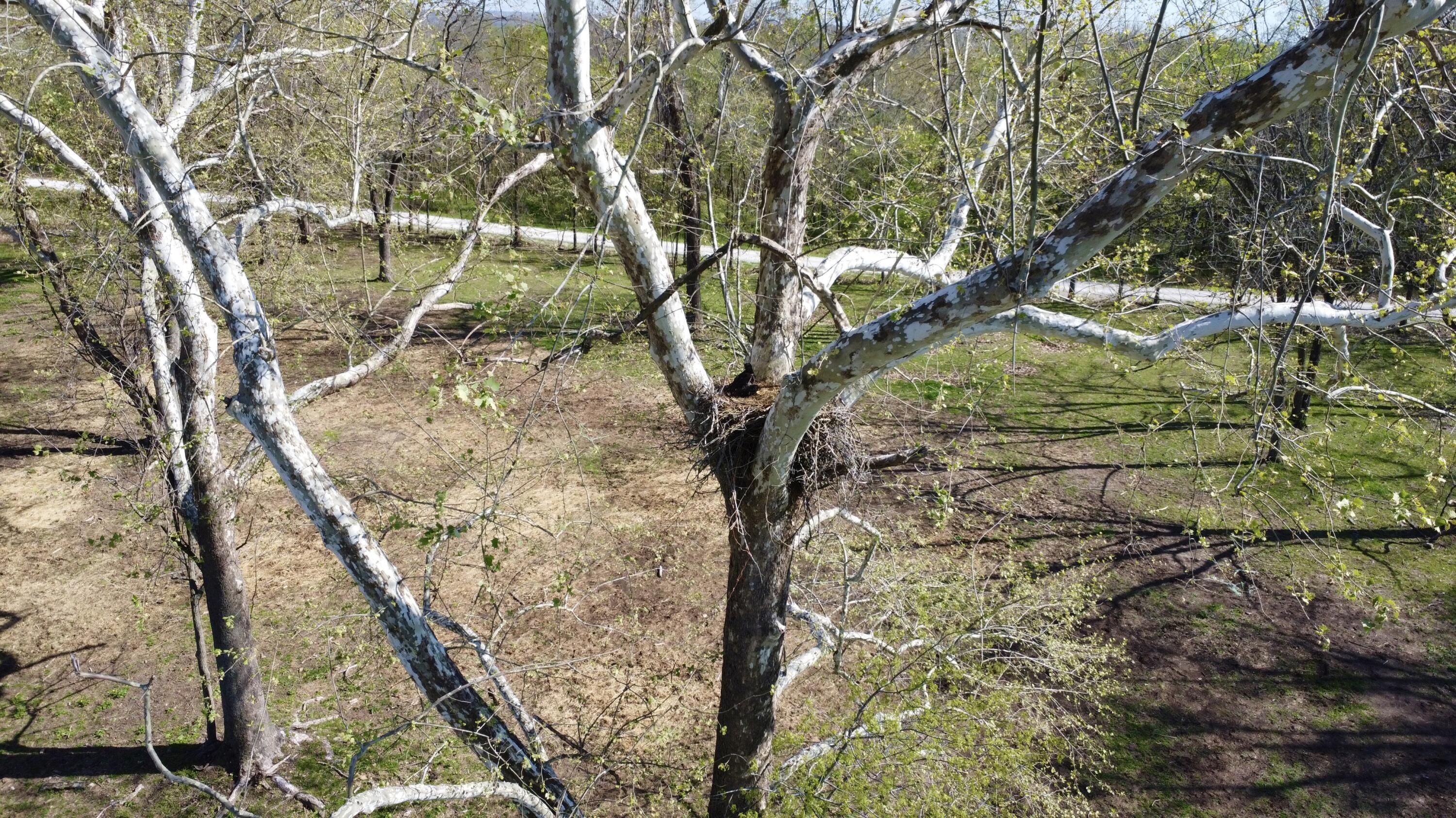 main property photo 53