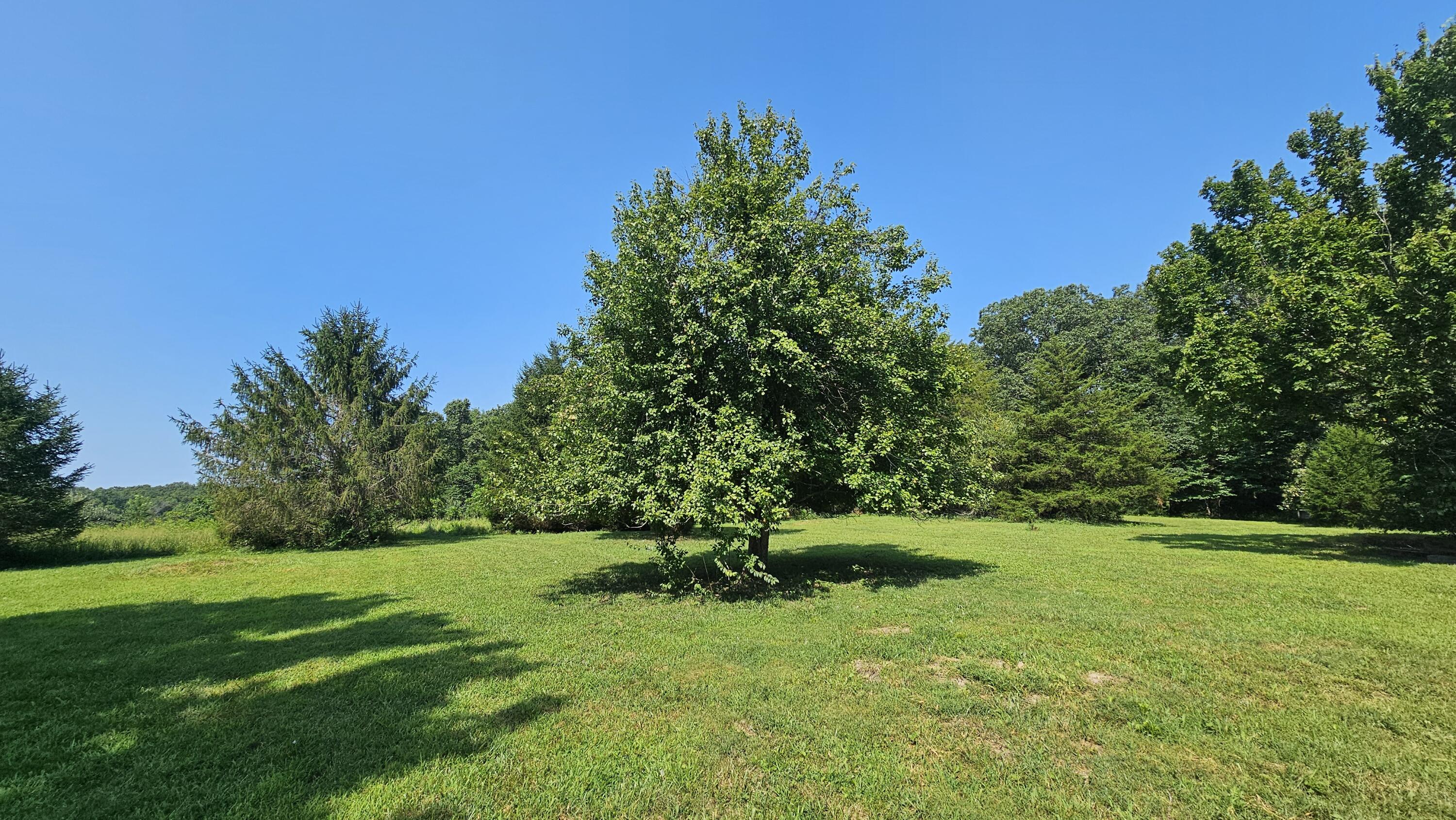 main property photo 27