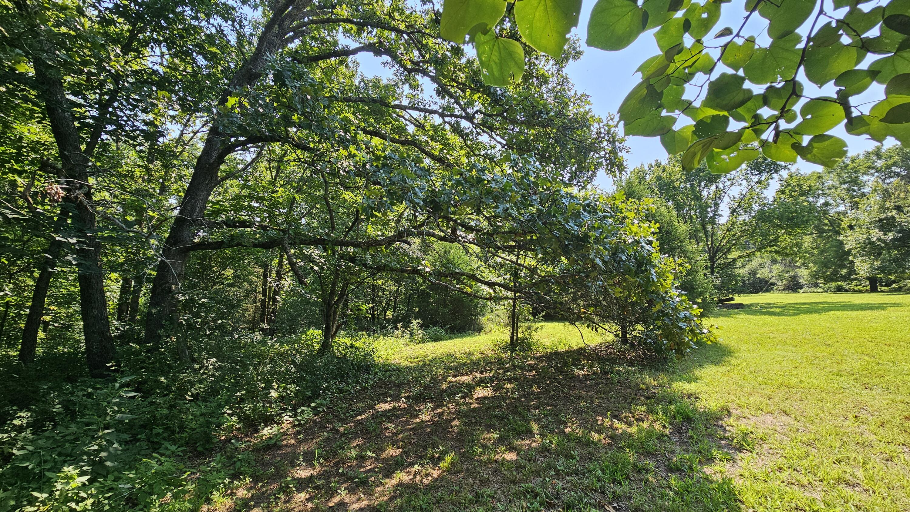main property photo 34