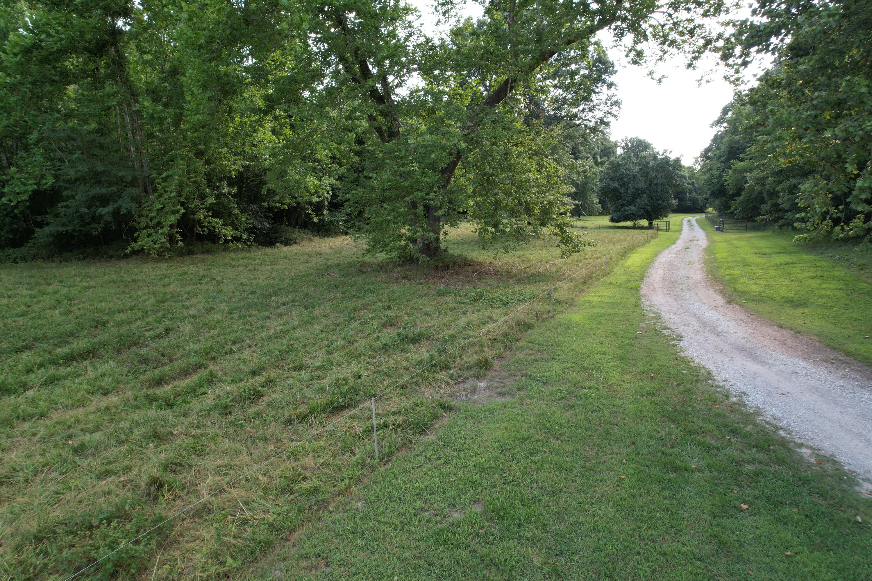 main property photo 44