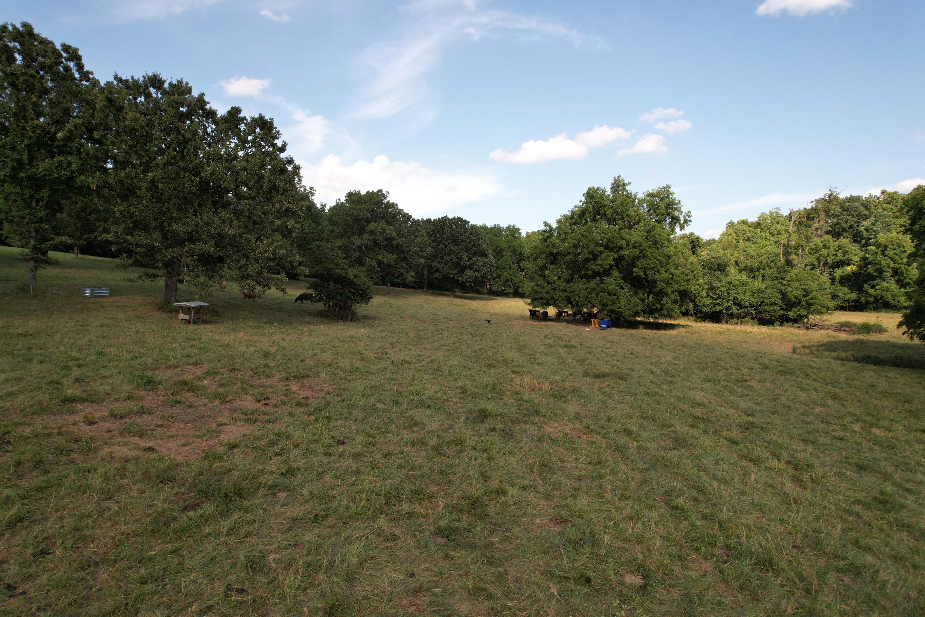 main property photo 47