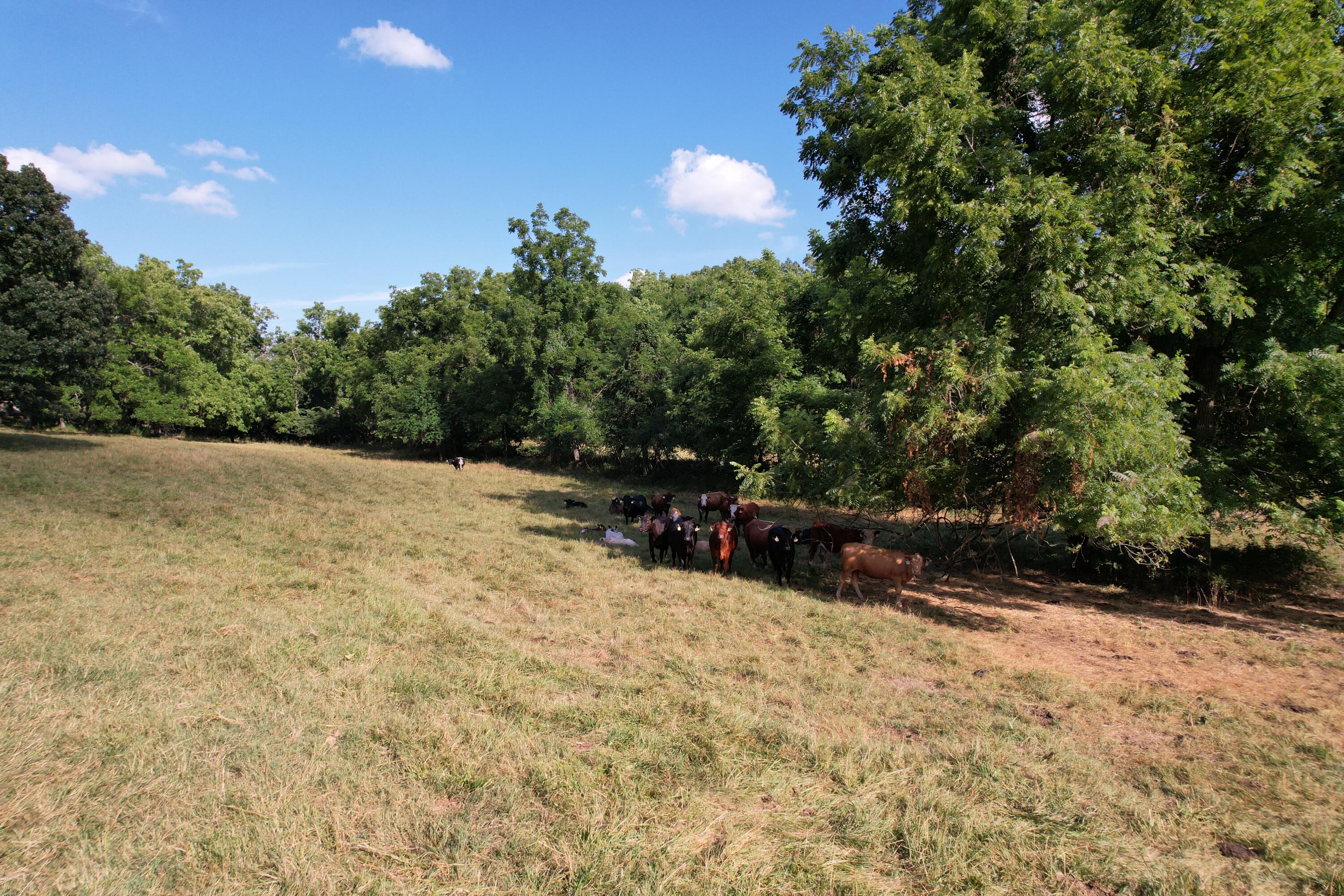 main property photo 49