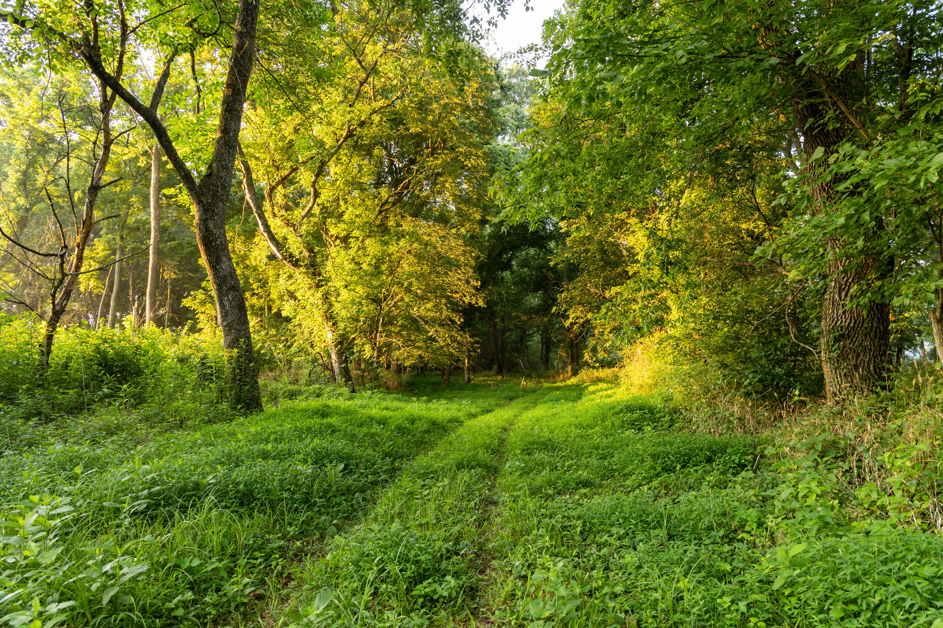 main property photo 61