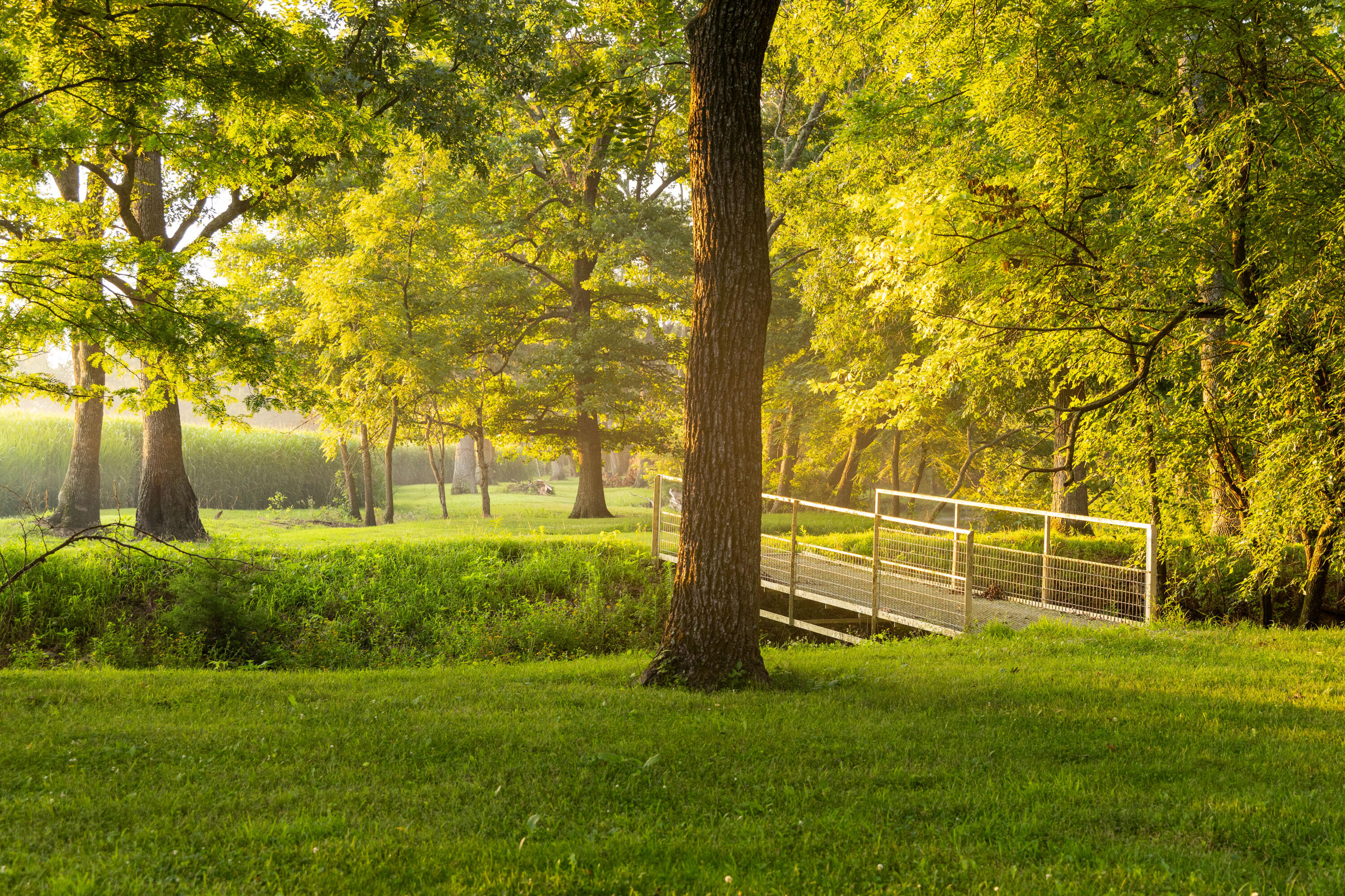 main property photo 65