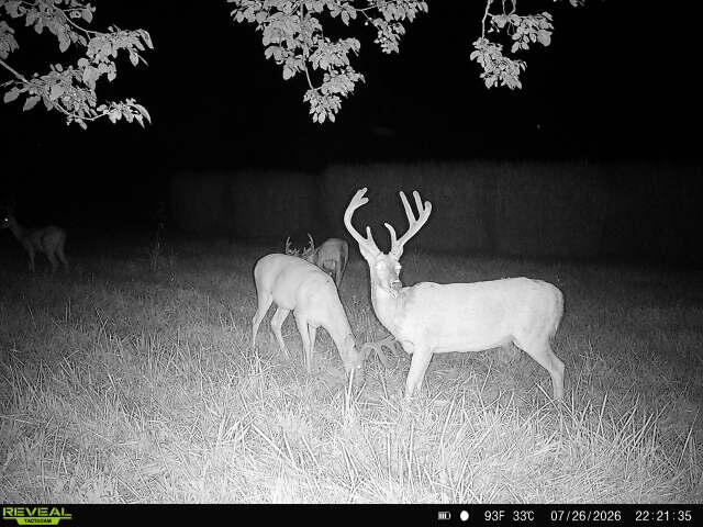 main property photo 71