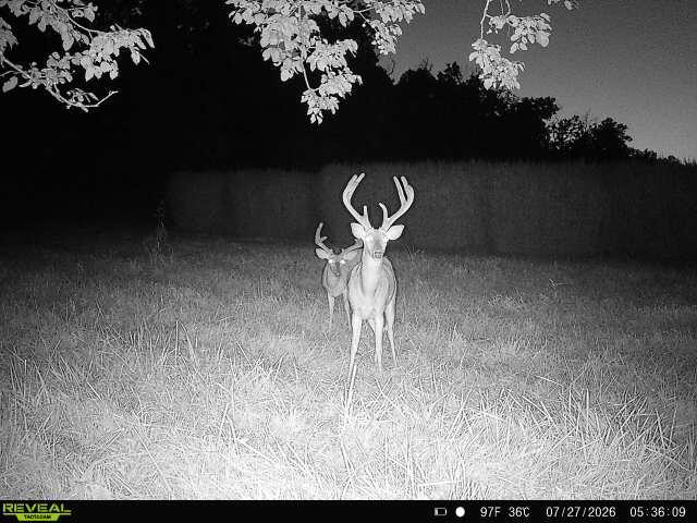 main property photo 76