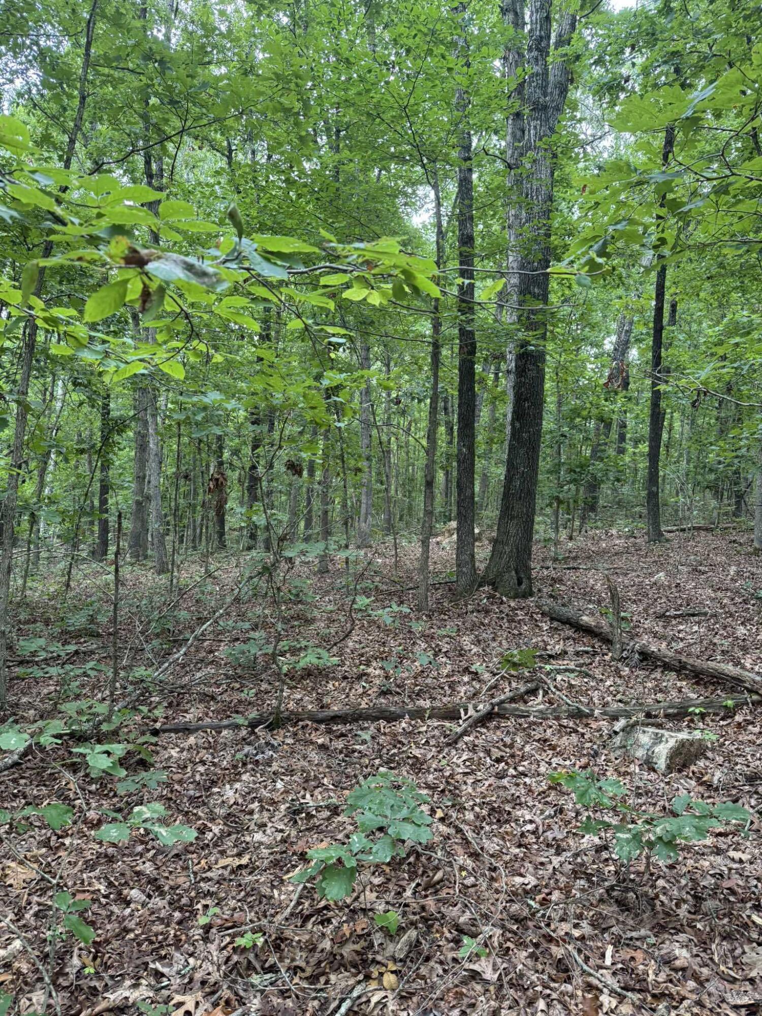 main property photo 12