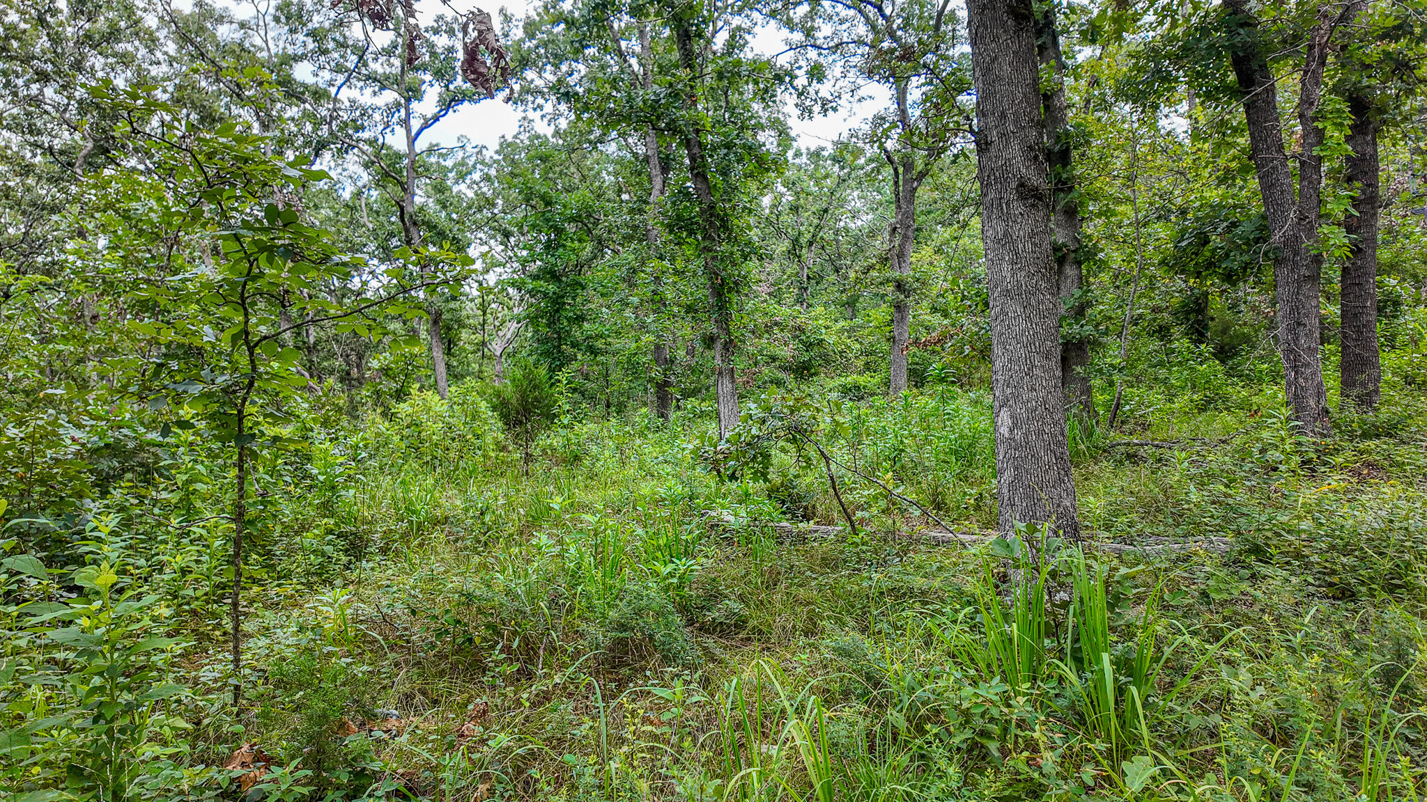 main property photo 42