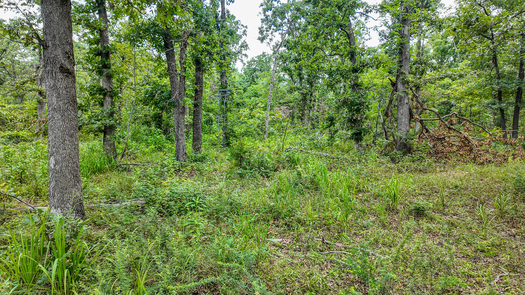 main property photo 43
