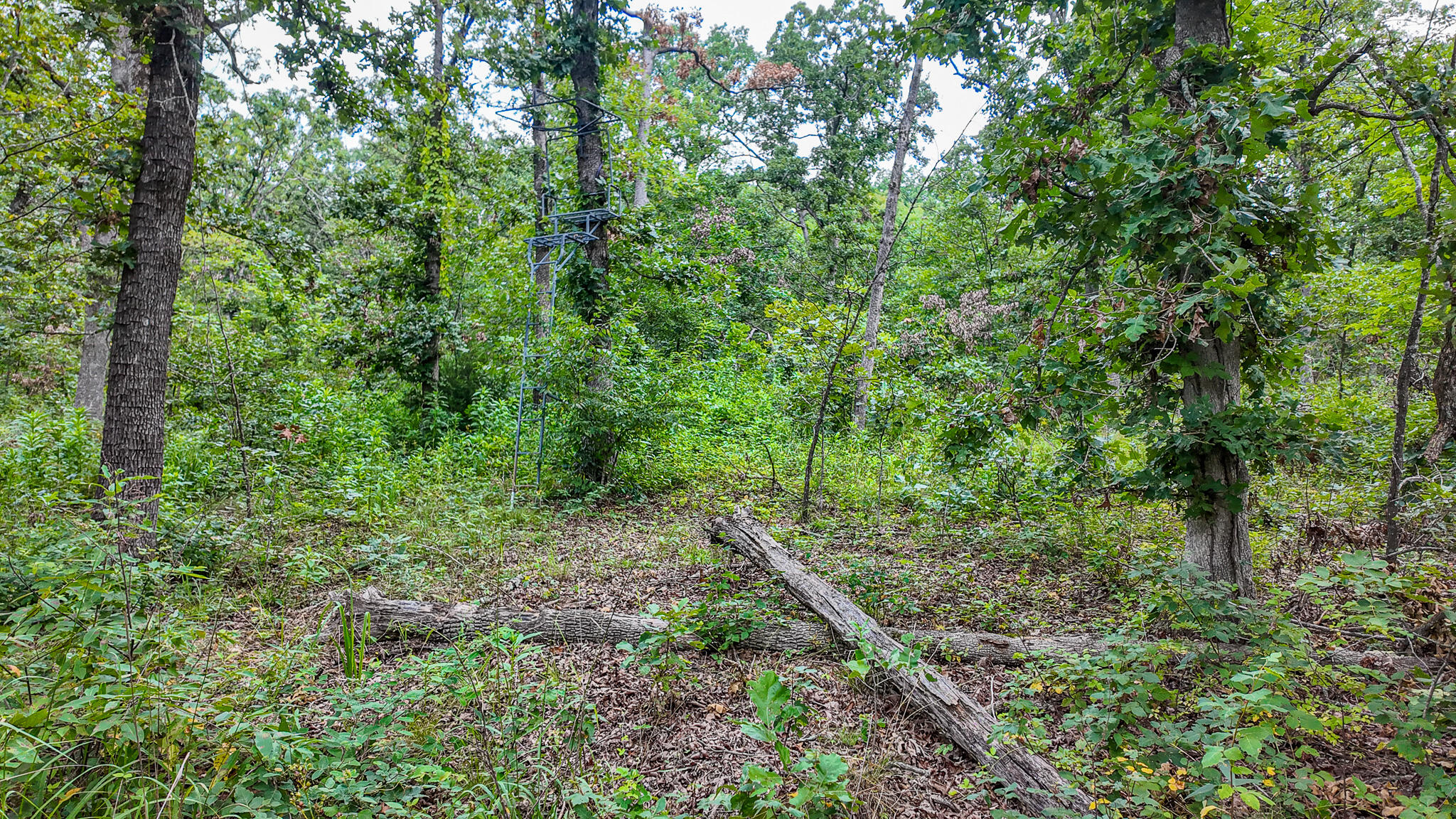 main property photo 44