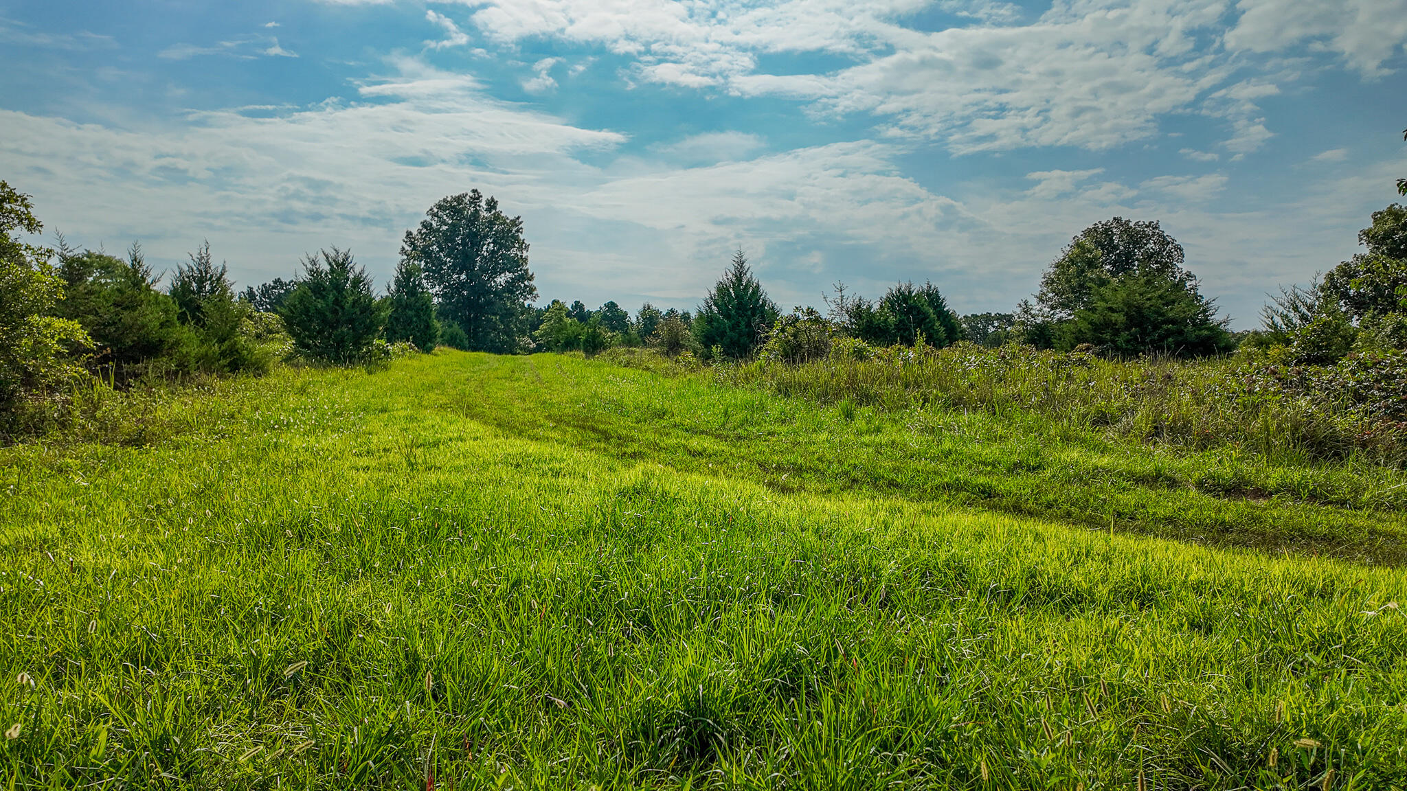 main property photo 49