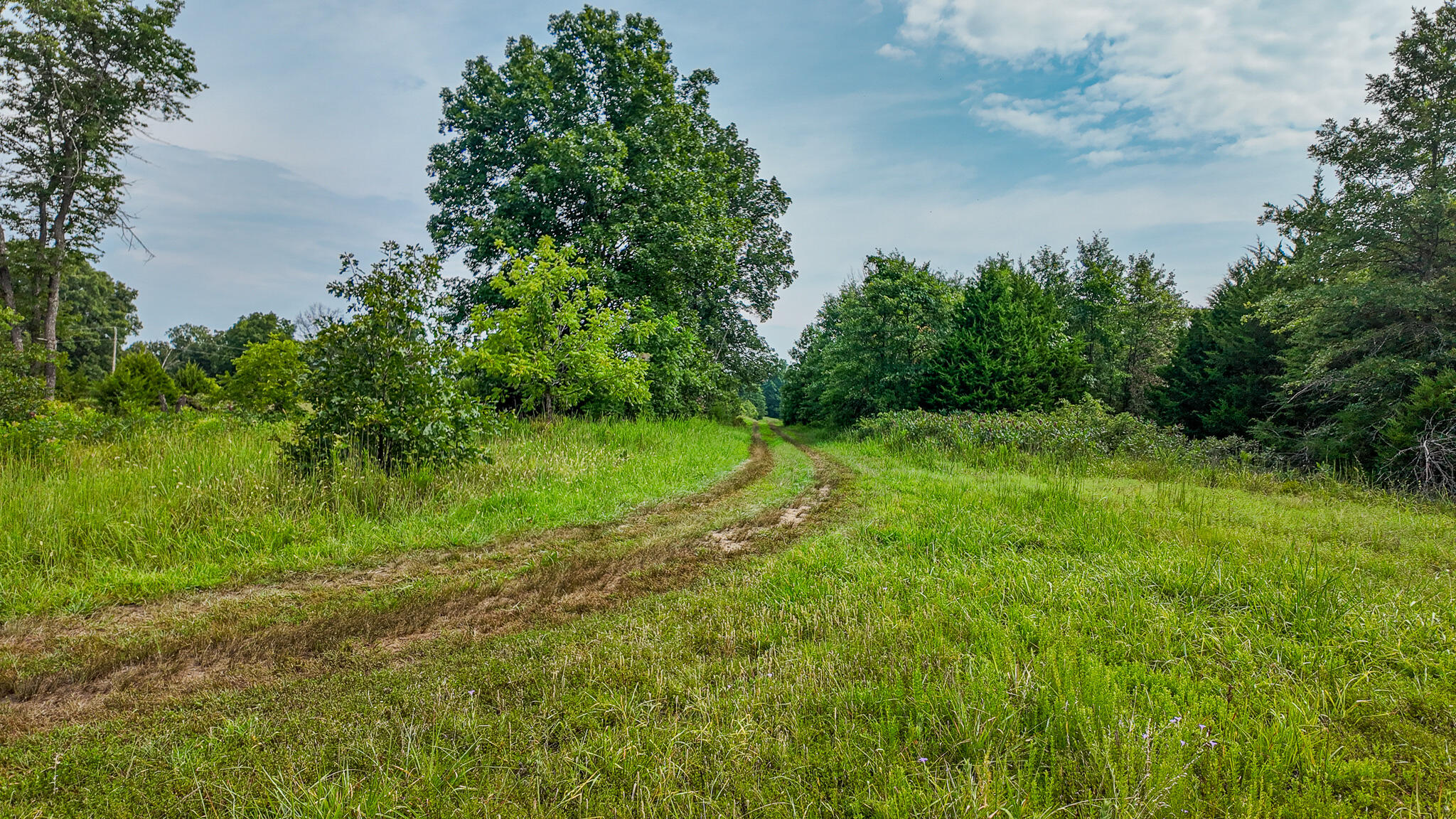 main property photo 62